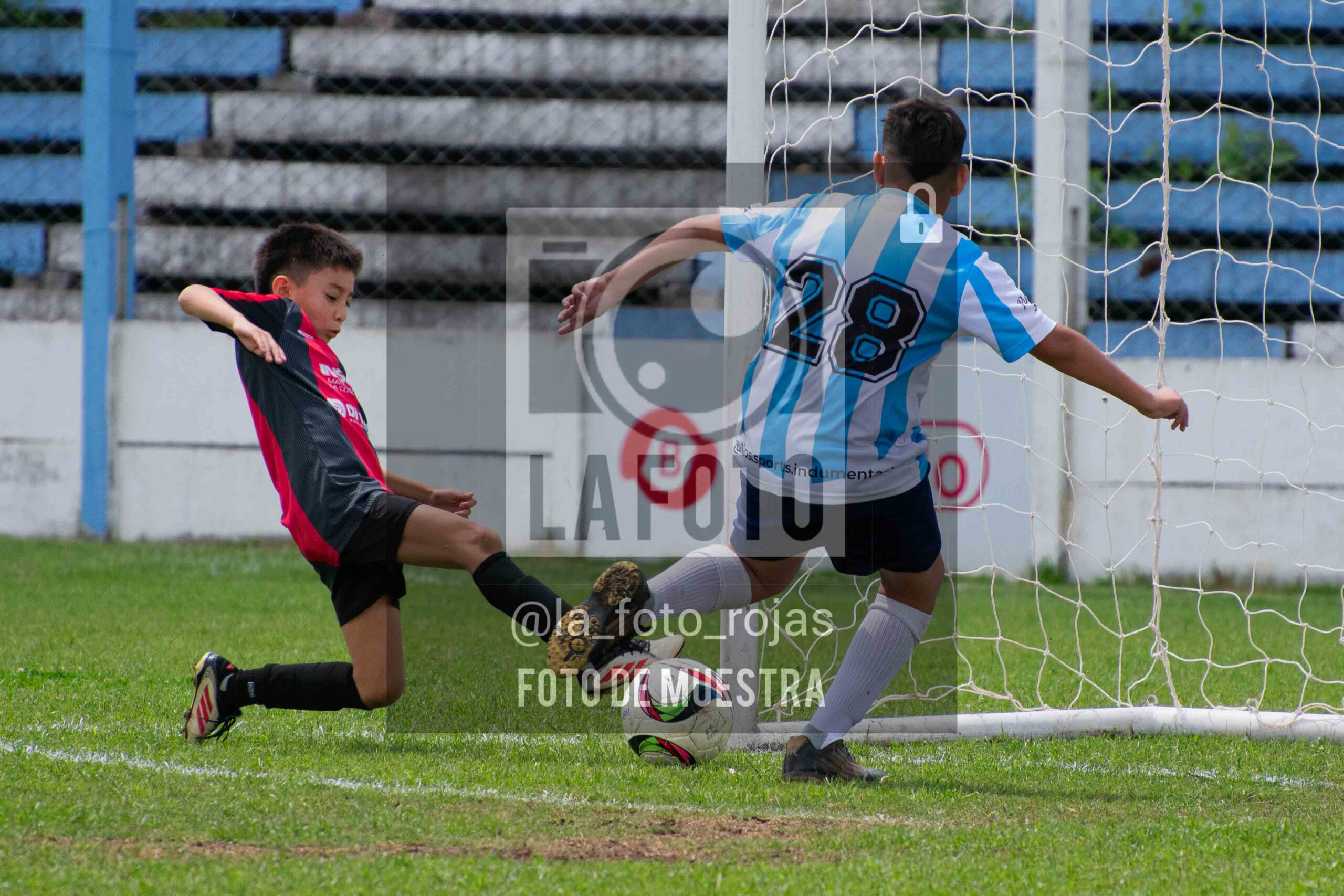 Fotografía 2015-ARG-NEW-100-scaled de ARGENTINO - NEWBERY / 2015 / 8-11