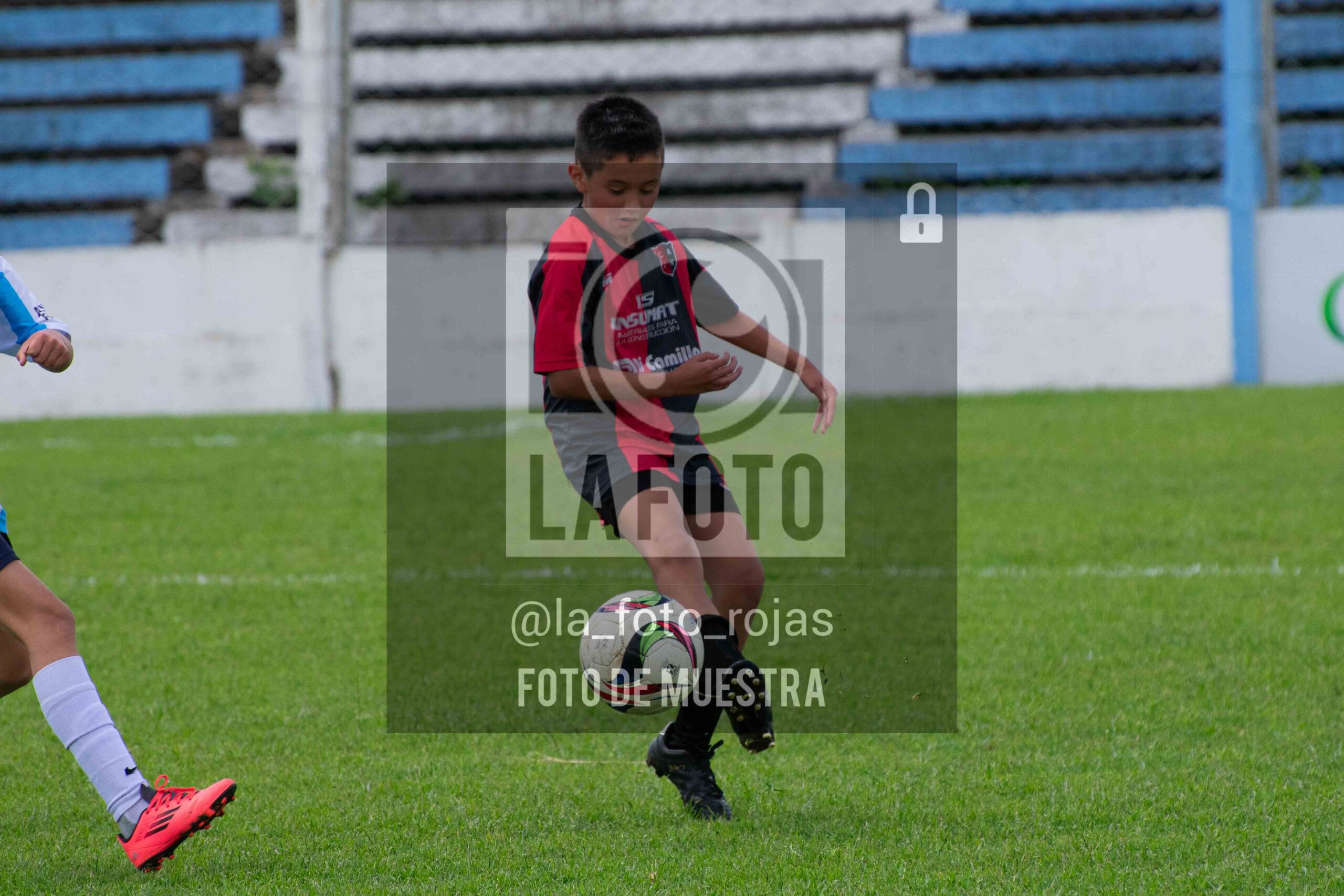 Fotografía 2015-ARG-NEW-102-scaled de ARGENTINO - NEWBERY / 2015 / 8-11