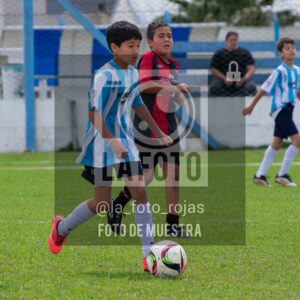 Fotografía 2015-ARG-NEW-108-scaled de ARGENTINO - NEWBERY / 2015 / 8-11