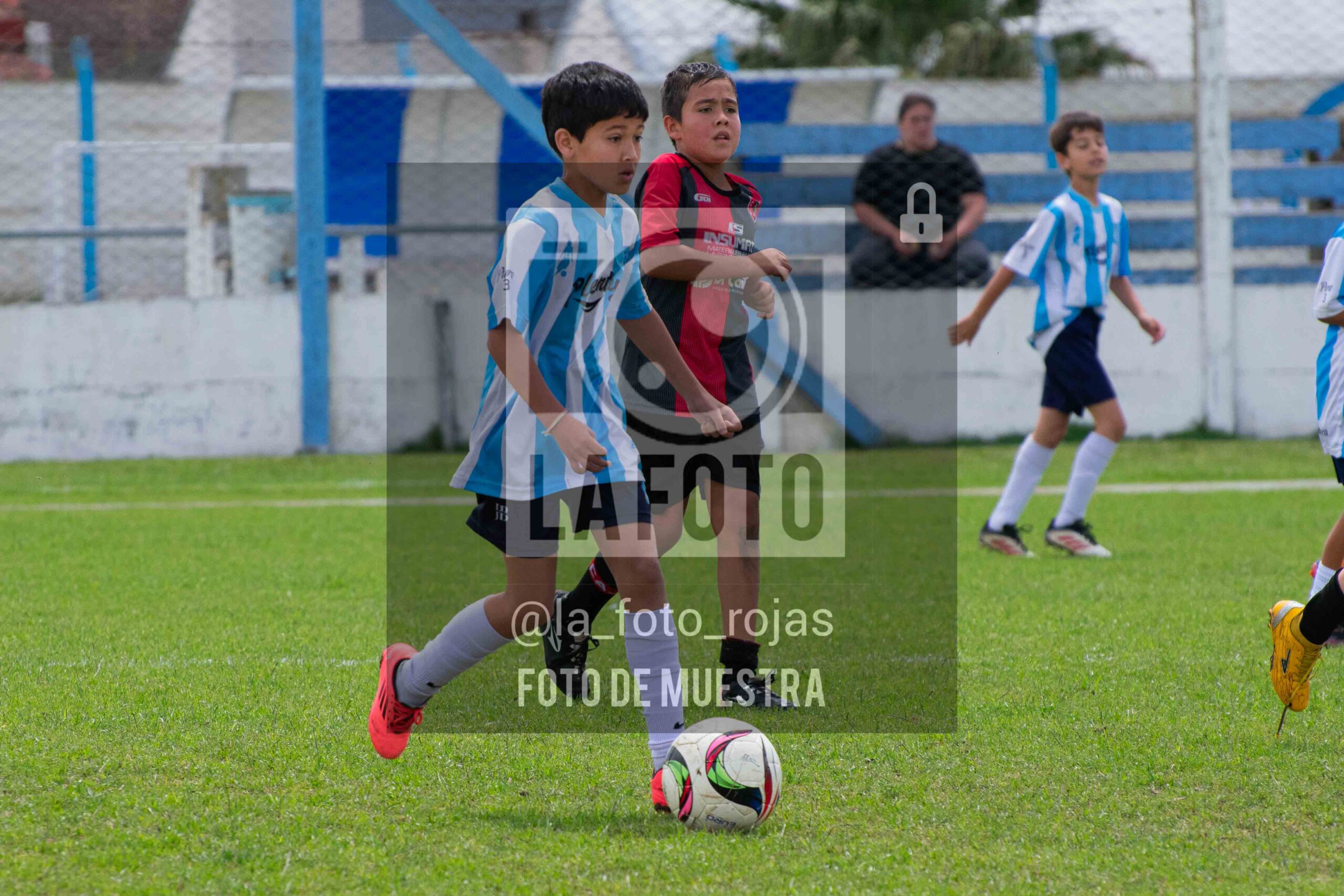 Fotografía 2015-ARG-NEW-108-scaled de ARGENTINO - NEWBERY / 2015 / 8-11