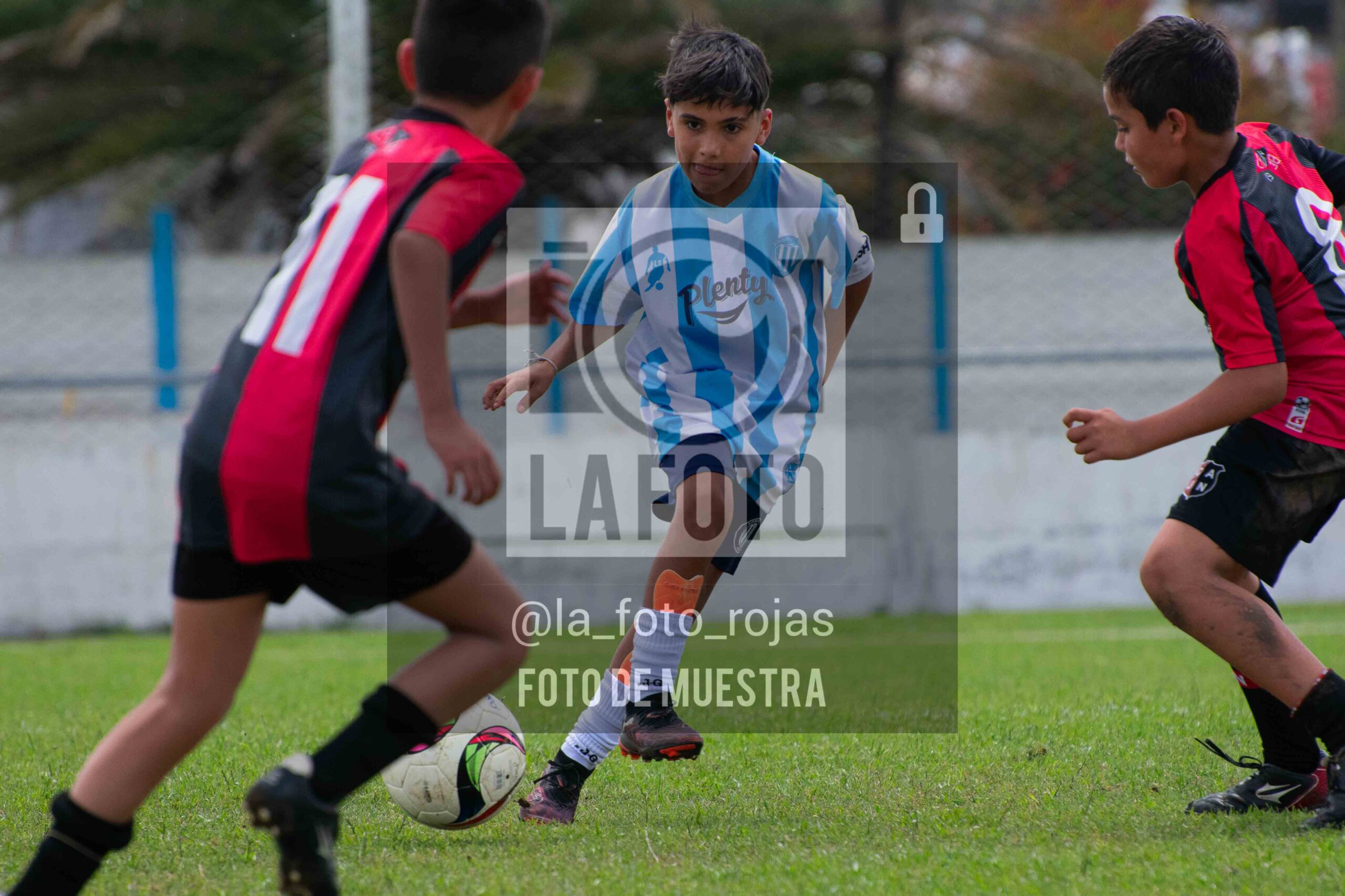 Fotografía 2015-ARG-NEW-112-scaled de ARGENTINO - NEWBERY / 2015 / 8-11