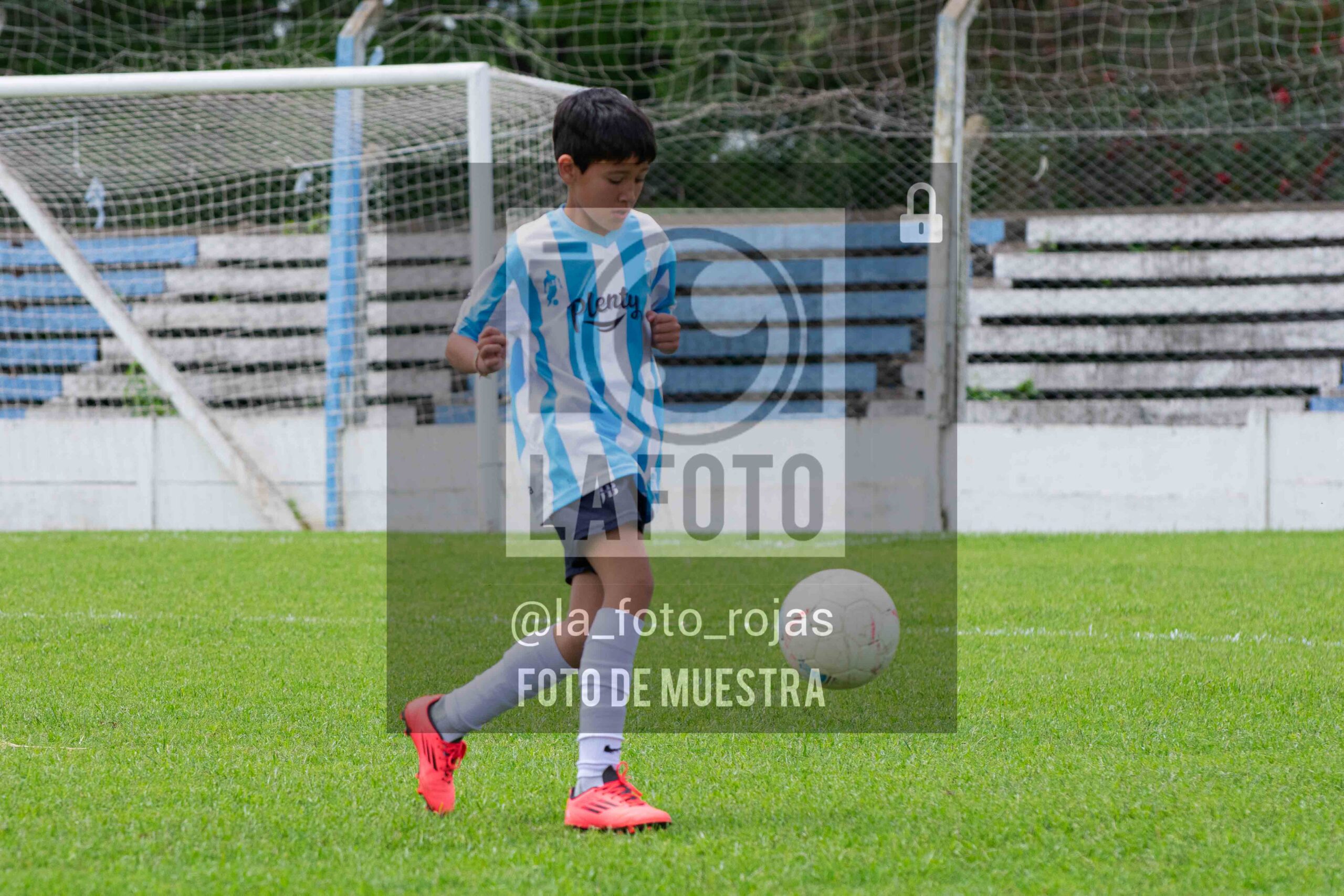 Fotografía 2015-ARG-NEW-114-scaled de ARGENTINO - NEWBERY / 2015 / 8-11