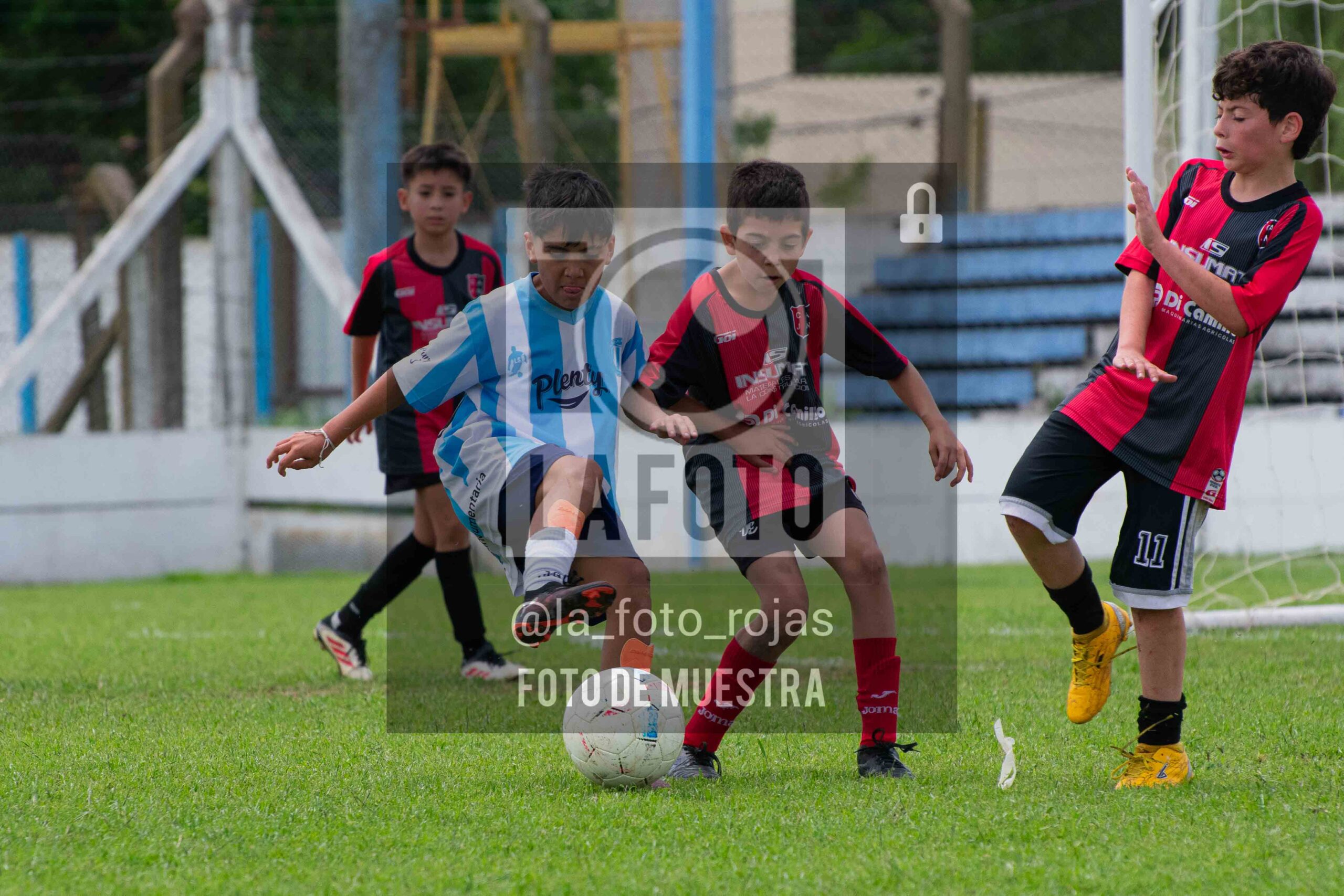 Fotografía 2015-ARG-NEW-115-scaled de ARGENTINO - NEWBERY / 2015 / 8-11