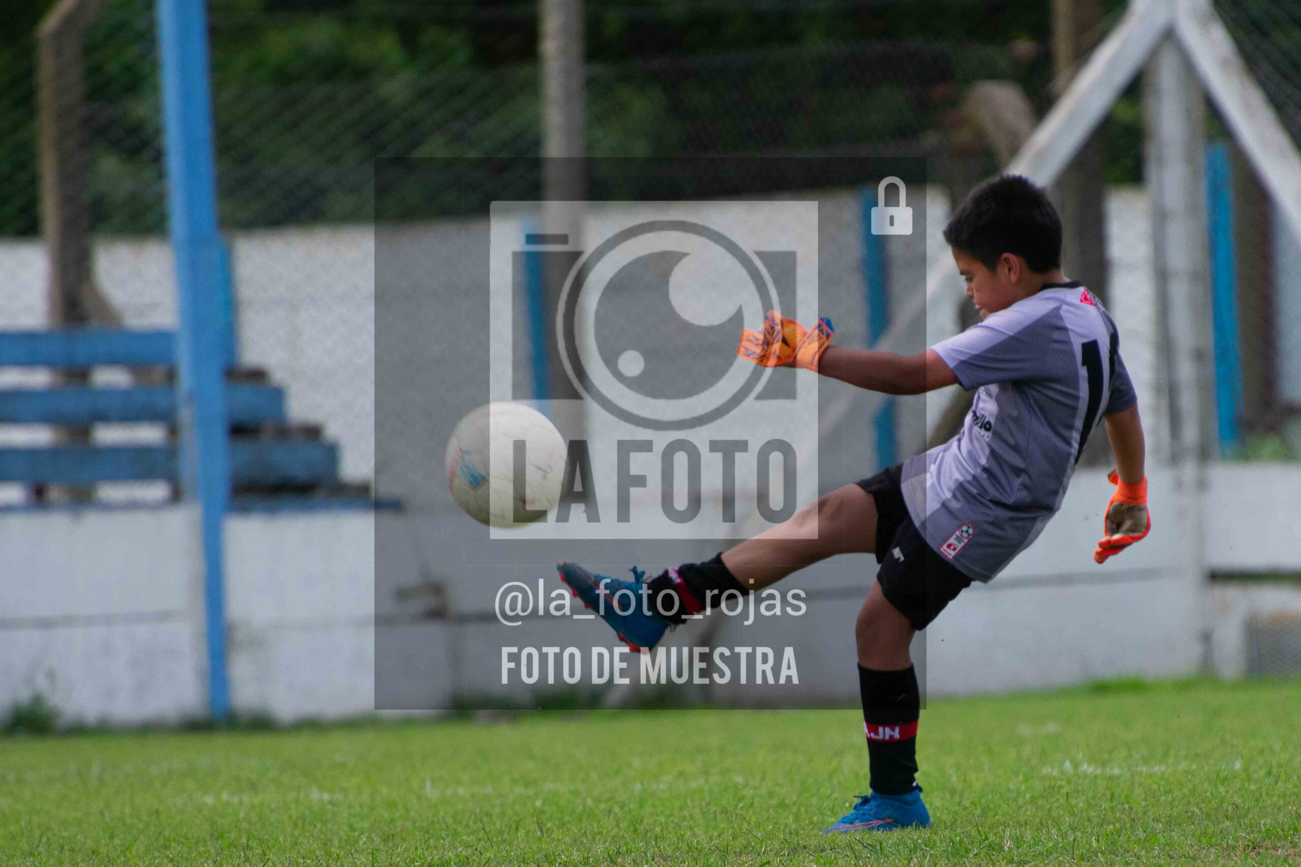 Fotografía 2015-ARG-NEW-116-scaled de ARGENTINO - NEWBERY / 2015 / 8-11
