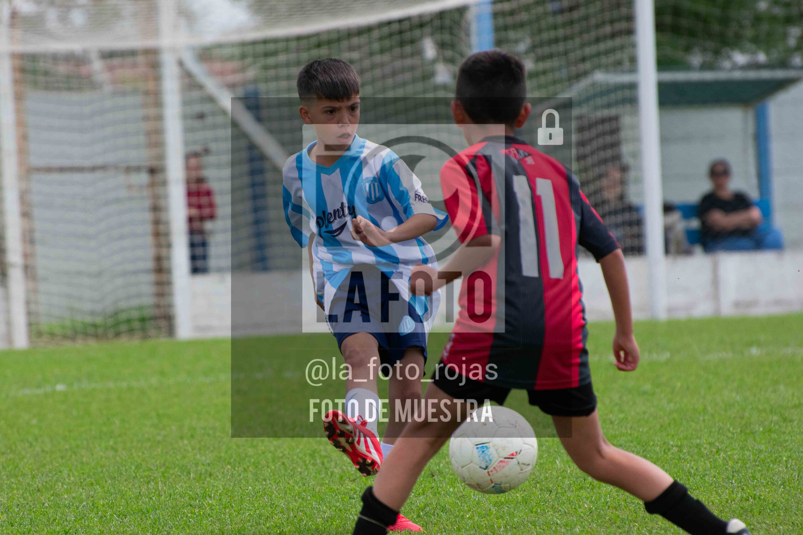 Fotografía 2015-ARG-NEW-121-scaled de ARGENTINO - NEWBERY / 2015 / 8-11