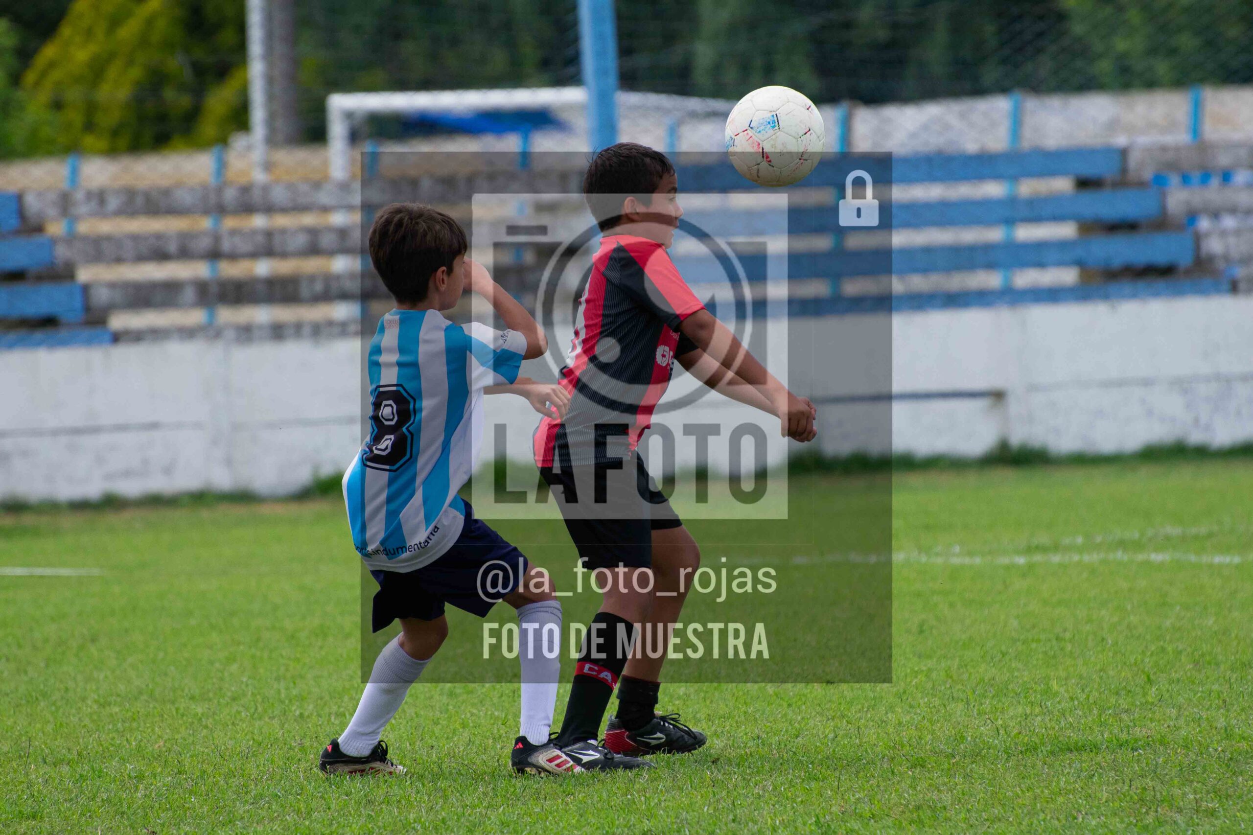 Fotografía 2015-ARG-NEW-122-scaled de ARGENTINO - NEWBERY / 2015 / 8-11