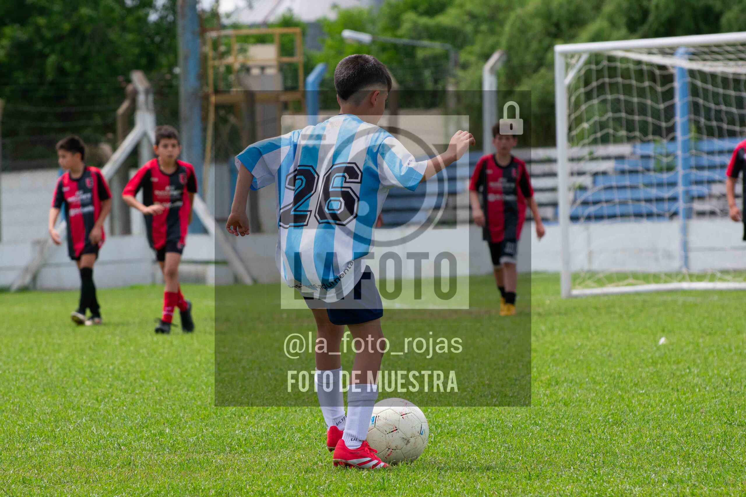 Fotografía 2015-ARG-NEW-125-scaled de ARGENTINO - NEWBERY / 2015 / 8-11