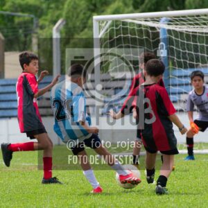 Fotografía 2015-ARG-NEW-126-scaled de ARGENTINO - NEWBERY / 2015 / 8-11
