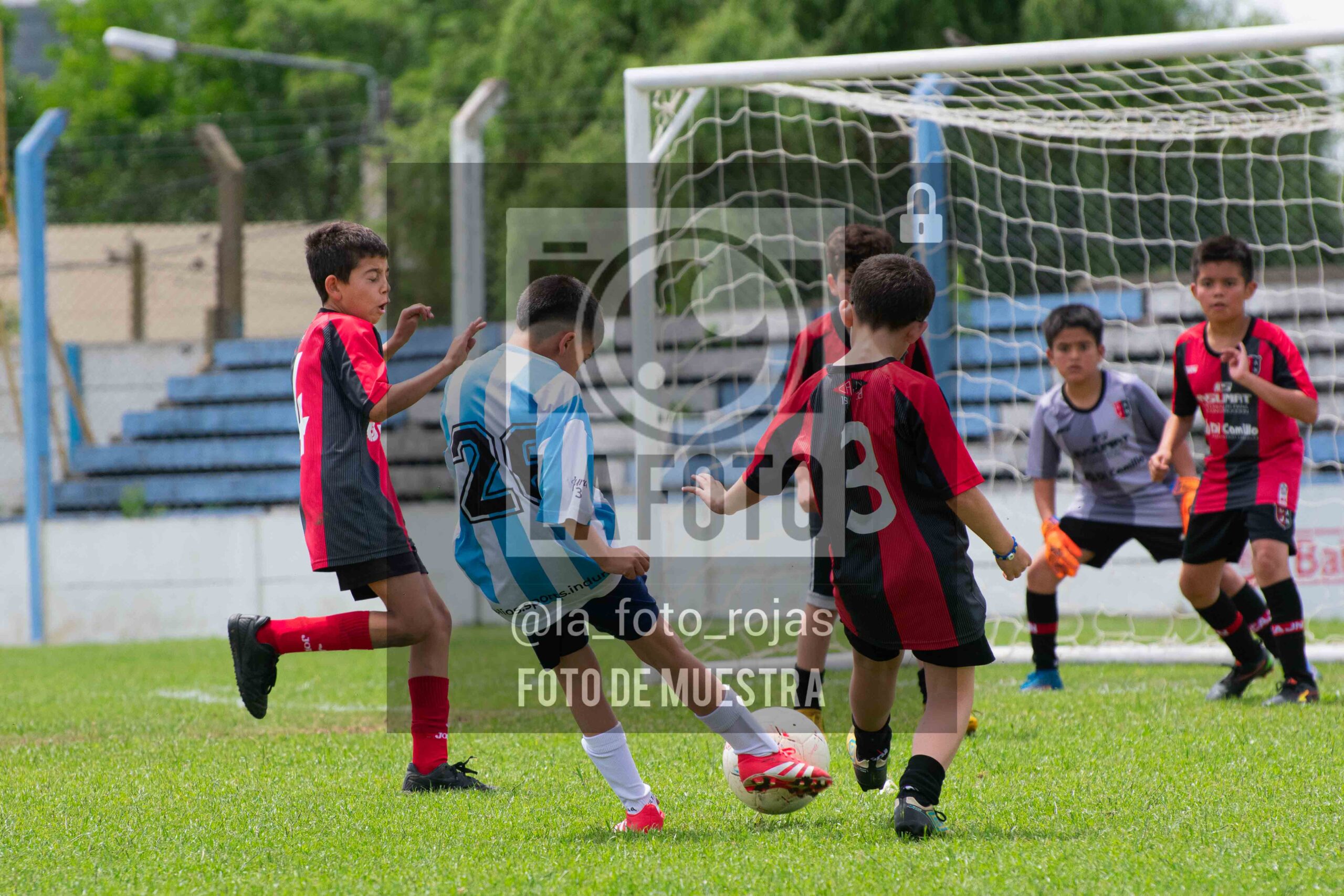 Fotografía 2015-ARG-NEW-126-scaled de ARGENTINO - NEWBERY / 2015 / 8-11