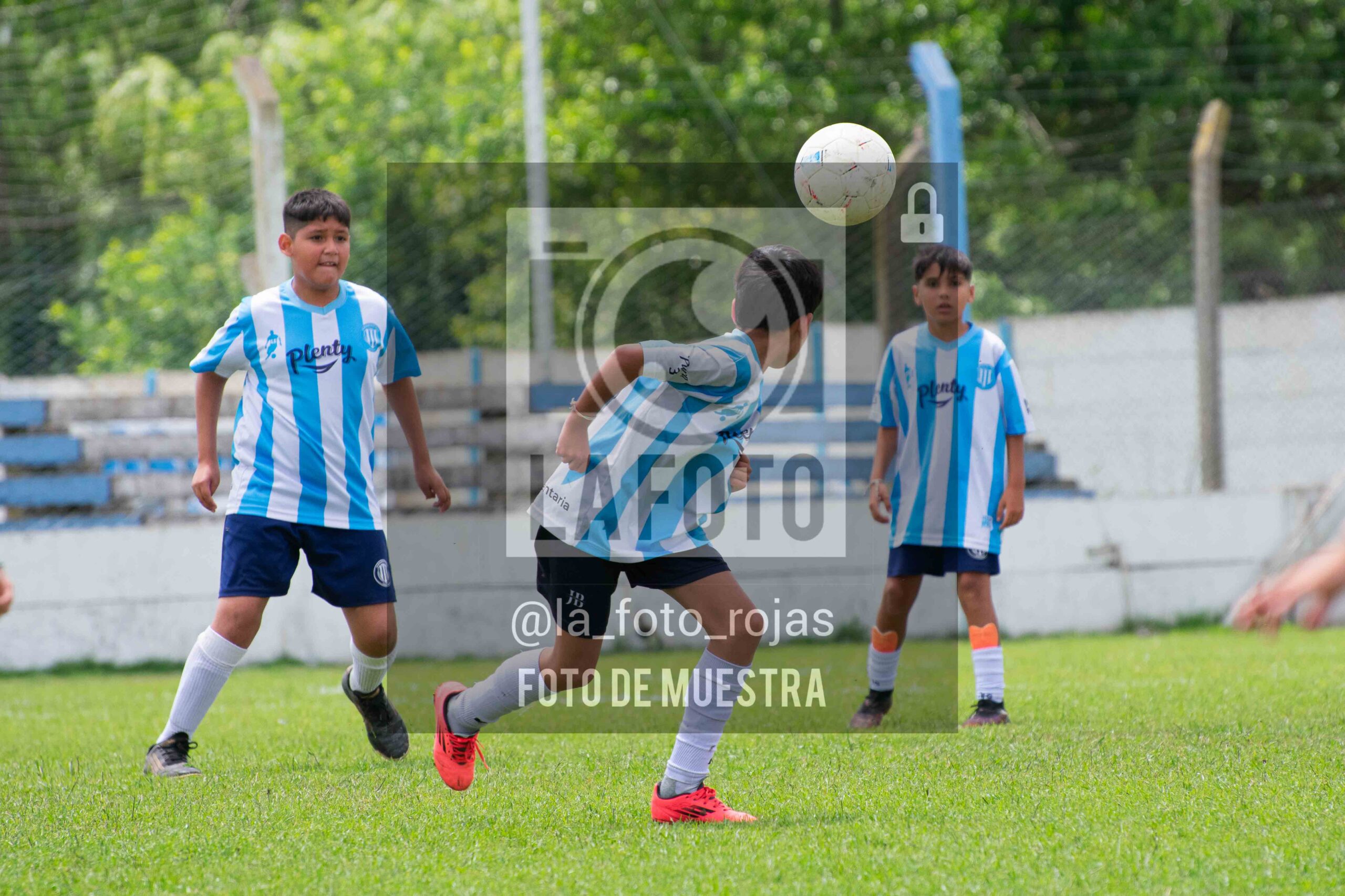 Fotografía 2015-ARG-NEW-128-scaled de ARGENTINO - NEWBERY / 2015 / 8-11