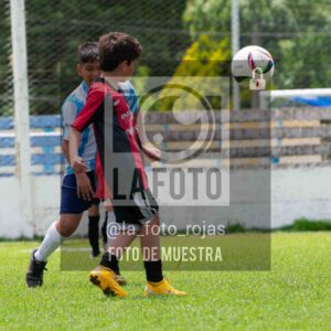 Fotografía 2015-ARG-NEW-129-scaled de ARGENTINO - NEWBERY / 2015 / 8-11
