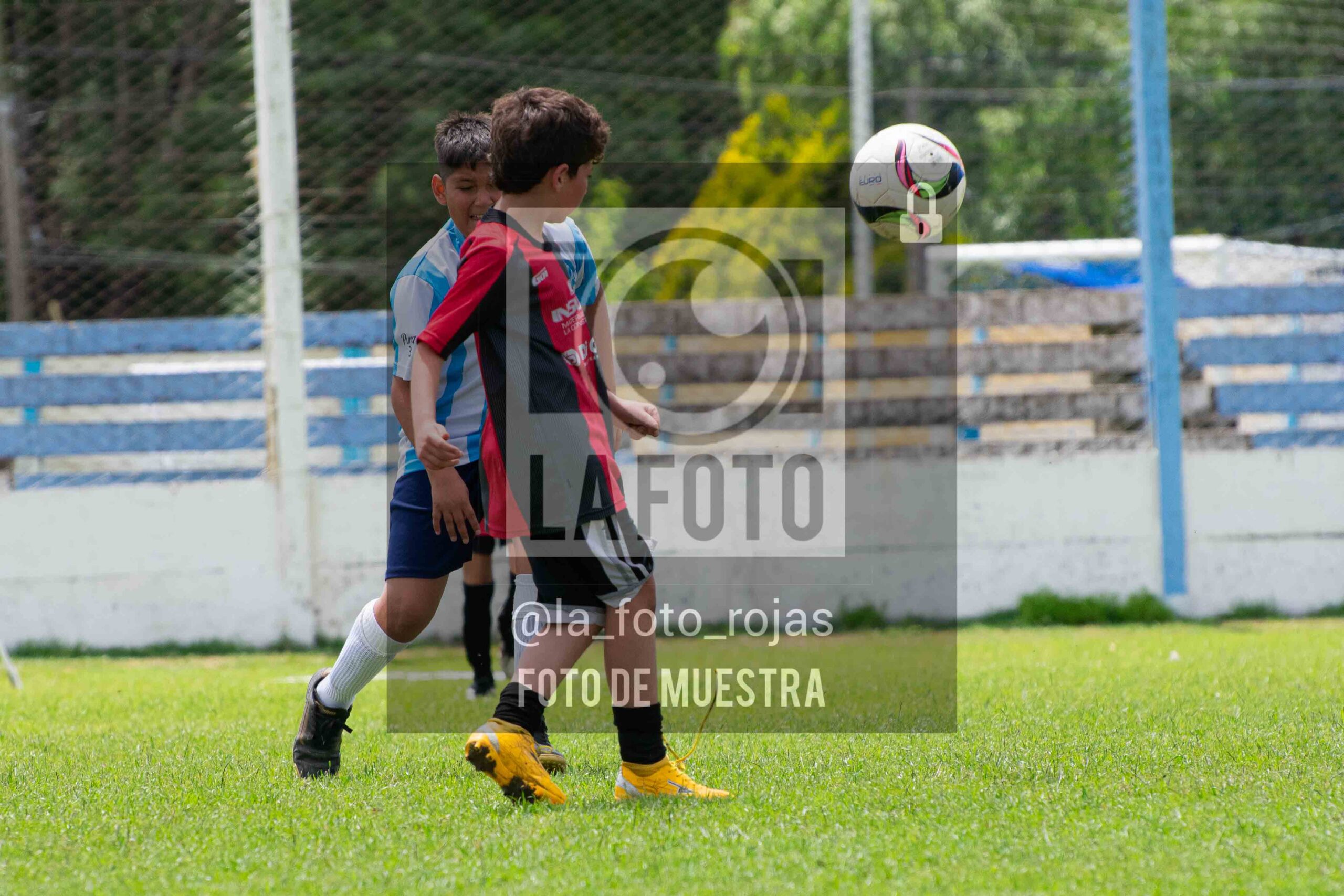 Fotografía 2015-ARG-NEW-129-scaled de ARGENTINO - NEWBERY / 2015 / 8-11