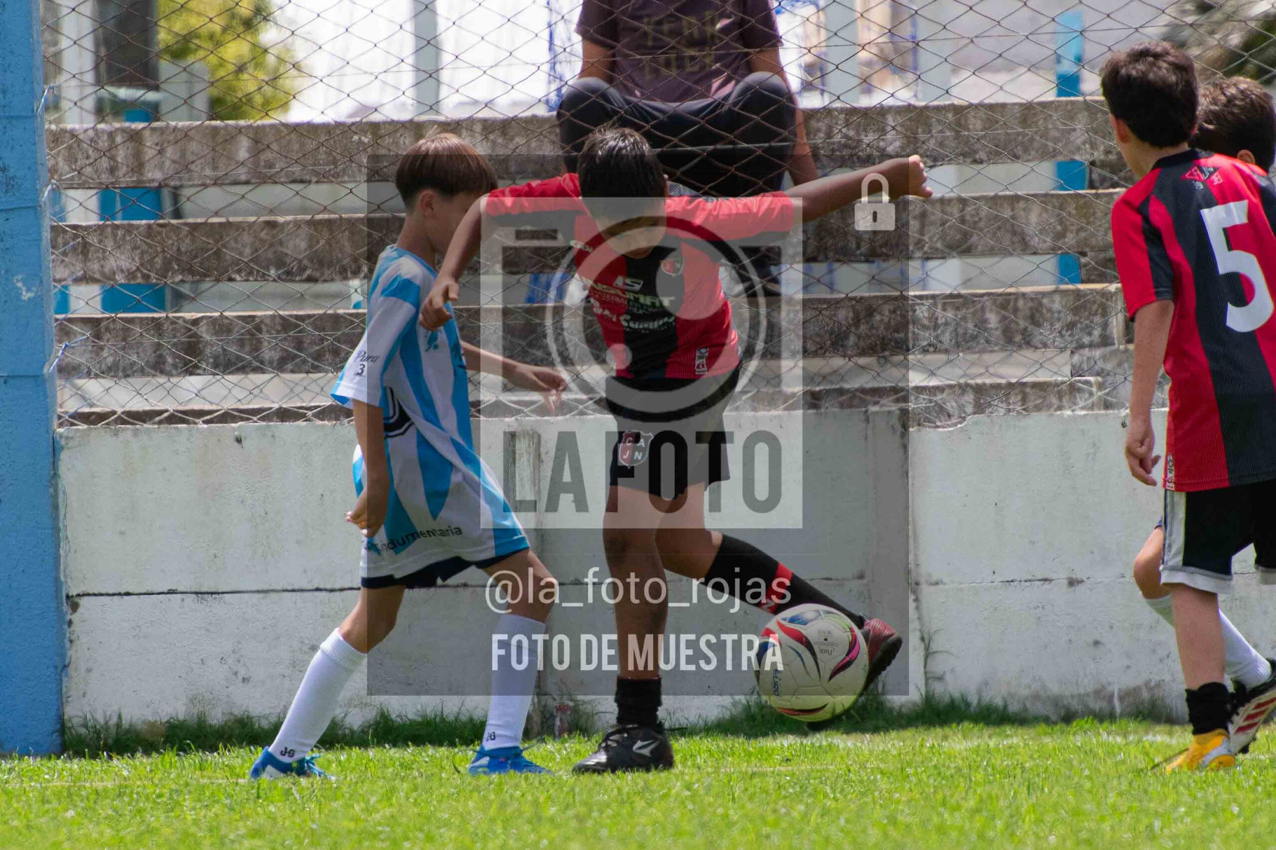 Fotografía 2015-ARG-NEW-130-scaled de ARGENTINO - NEWBERY / 2015 / 8-11