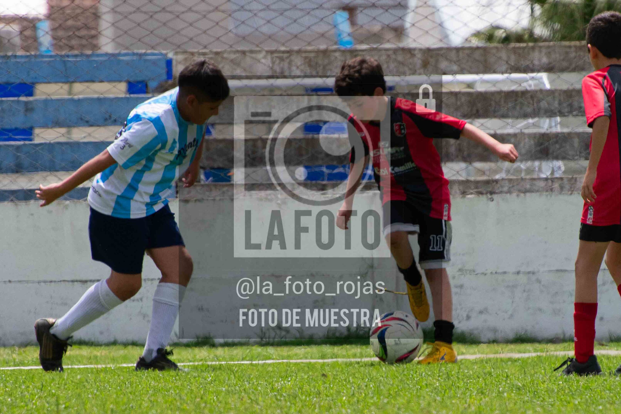 Fotografía 2015-ARG-NEW-132-scaled de ARGENTINO - NEWBERY / 2015 / 8-11