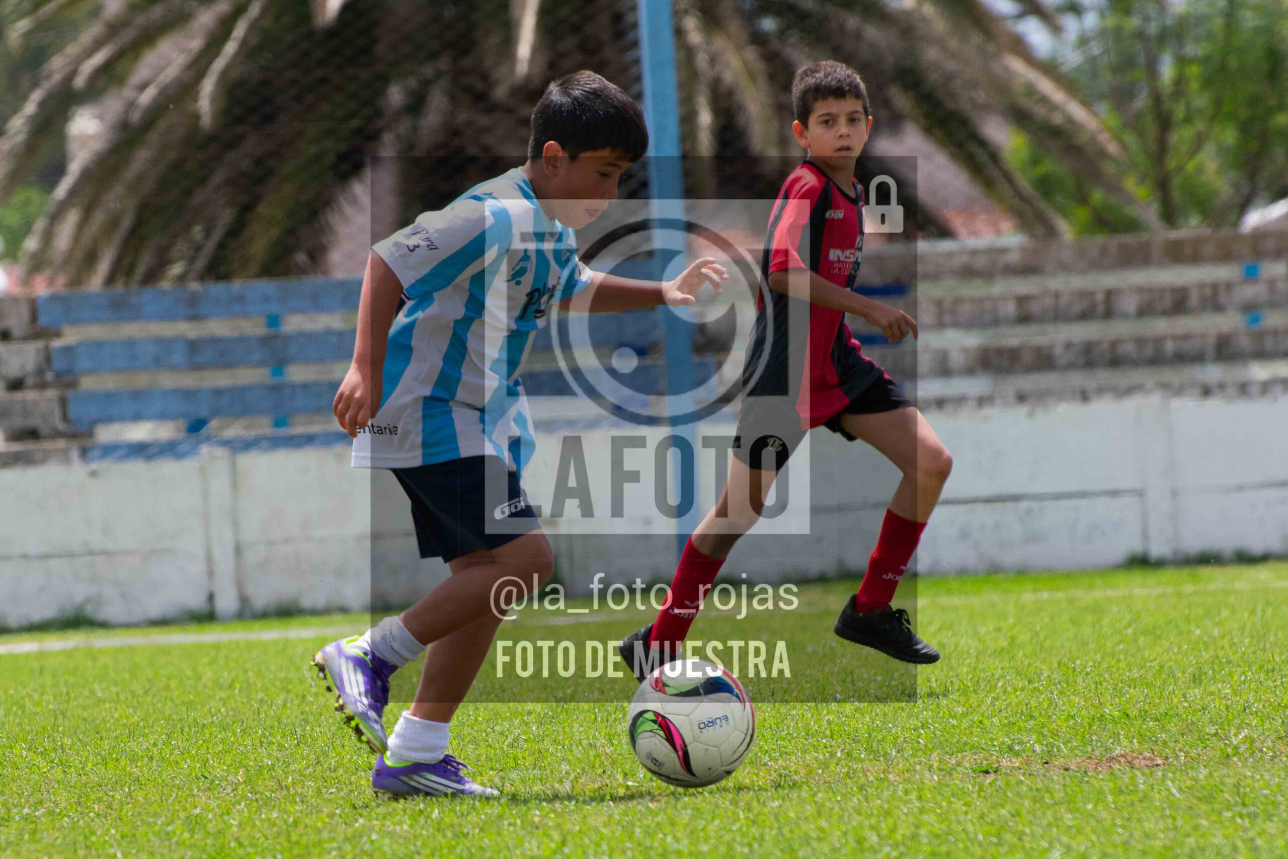 Fotografía 2015-ARG-NEW-134-scaled de ARGENTINO - NEWBERY / 2015 / 8-11