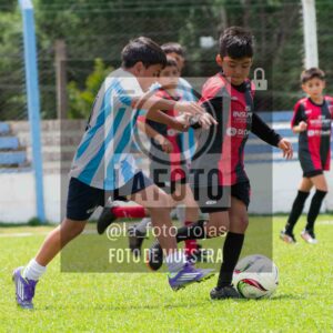 Fotografía 2015-ARG-NEW-136-scaled de ARGENTINO - NEWBERY / 2015 / 8-11