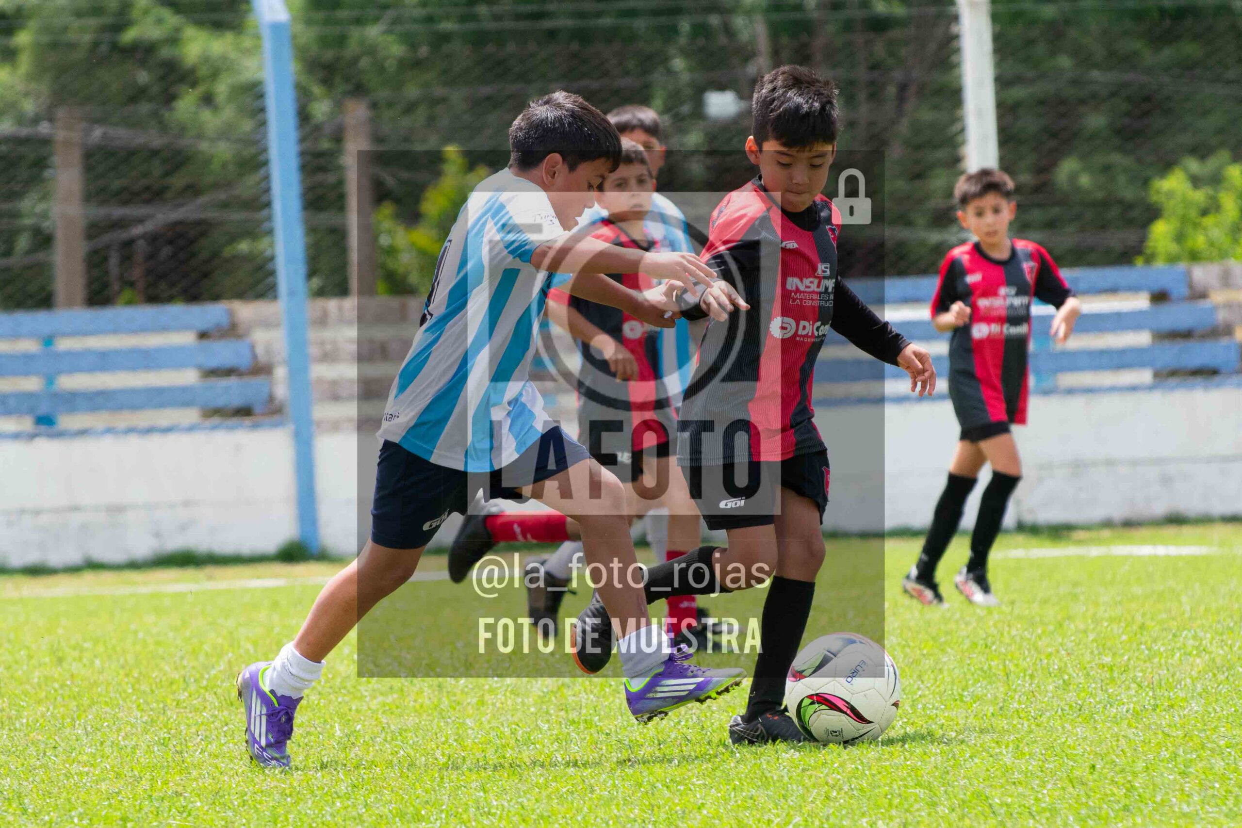 Fotografía 2015-ARG-NEW-136-scaled de ARGENTINO - NEWBERY / 2015 / 8-11