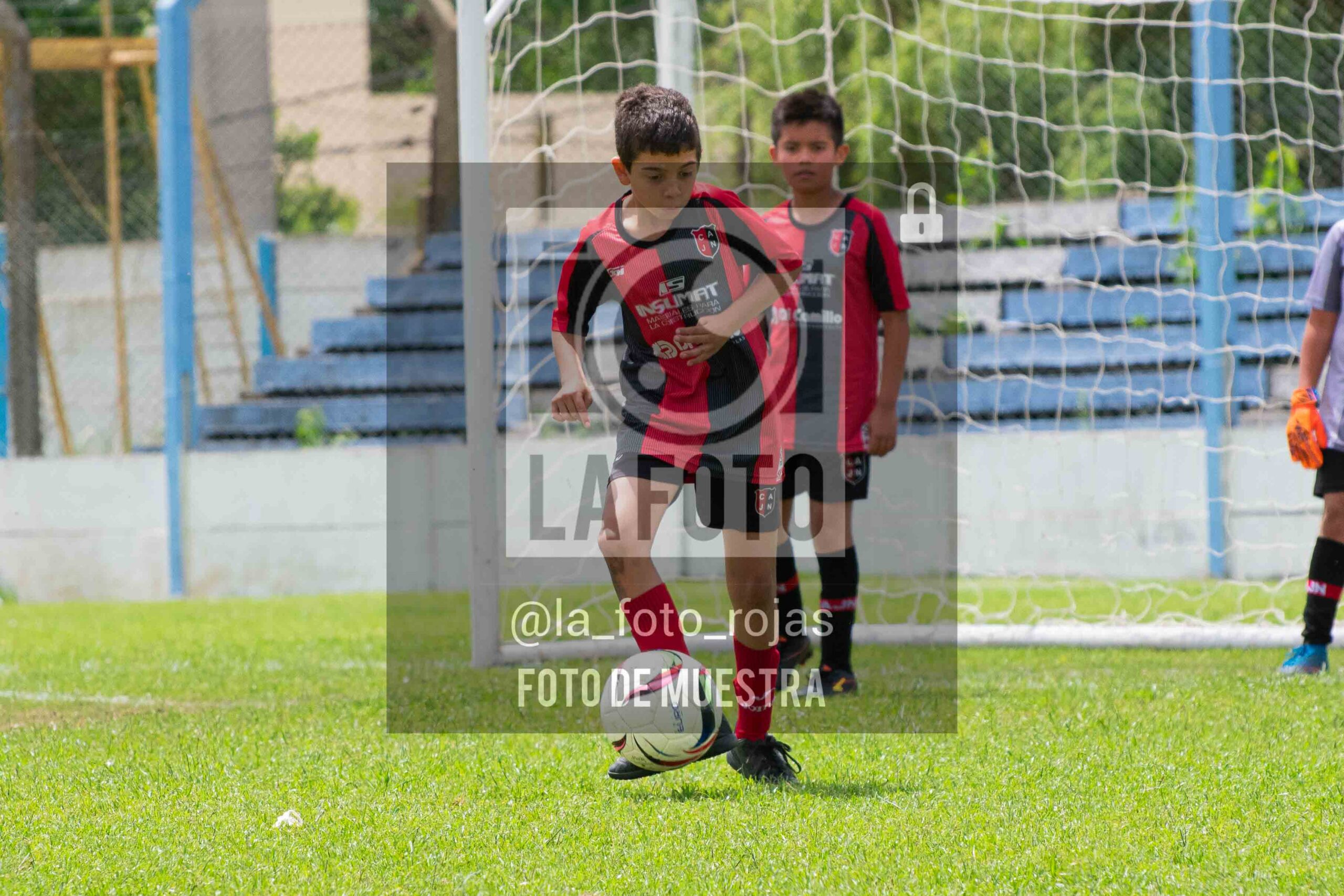 Fotografía 2015-ARG-NEW-137-scaled de ARGENTINO - NEWBERY / 2015 / 8-11