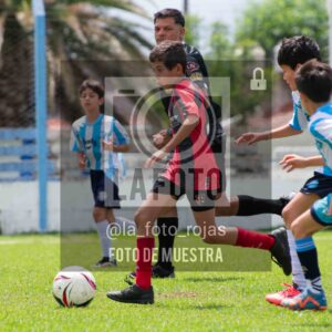 Fotografía 2015-ARG-NEW-138-scaled de ARGENTINO - NEWBERY / 2015 / 8-11