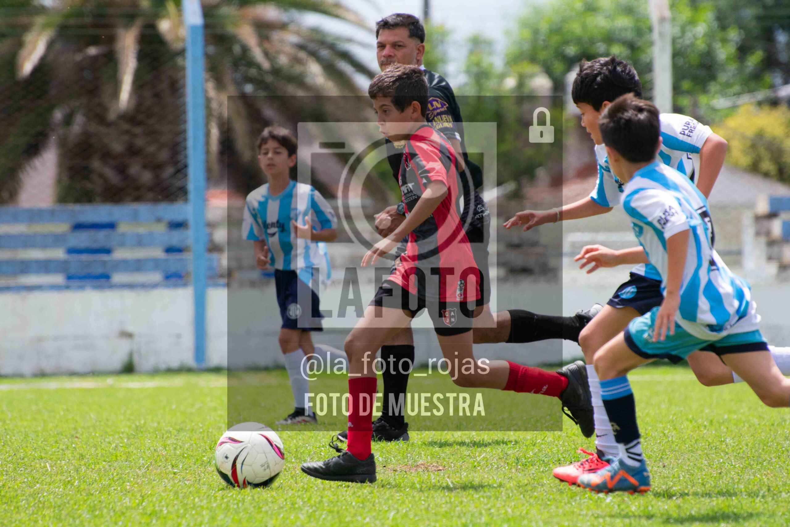 Fotografía 2015-ARG-NEW-138-scaled de ARGENTINO - NEWBERY / 2015 / 8-11