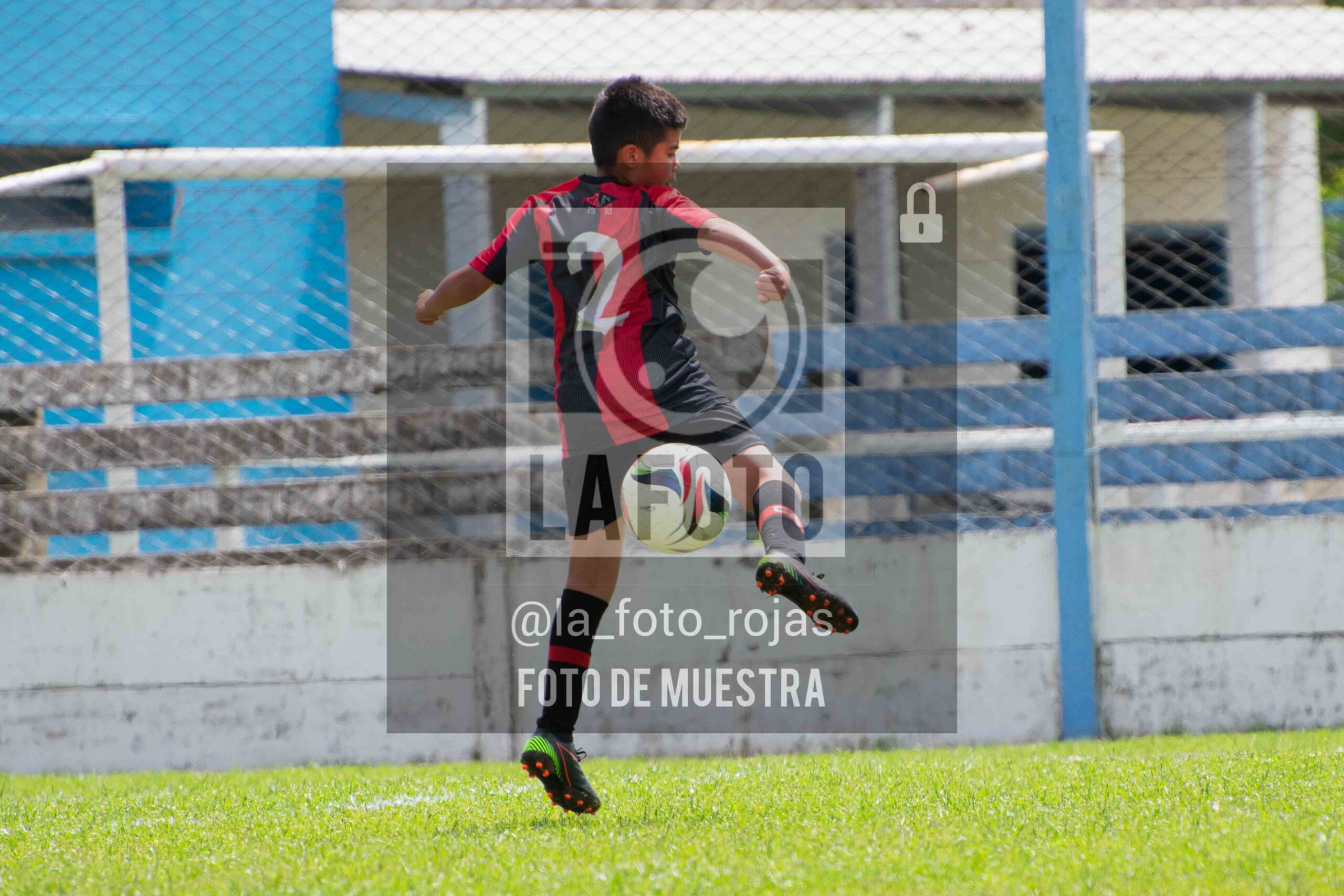 Fotografía 2015-ARG-NEW-14-scaled de ARGENTINO - NEWBERY / 2015 / 8-11