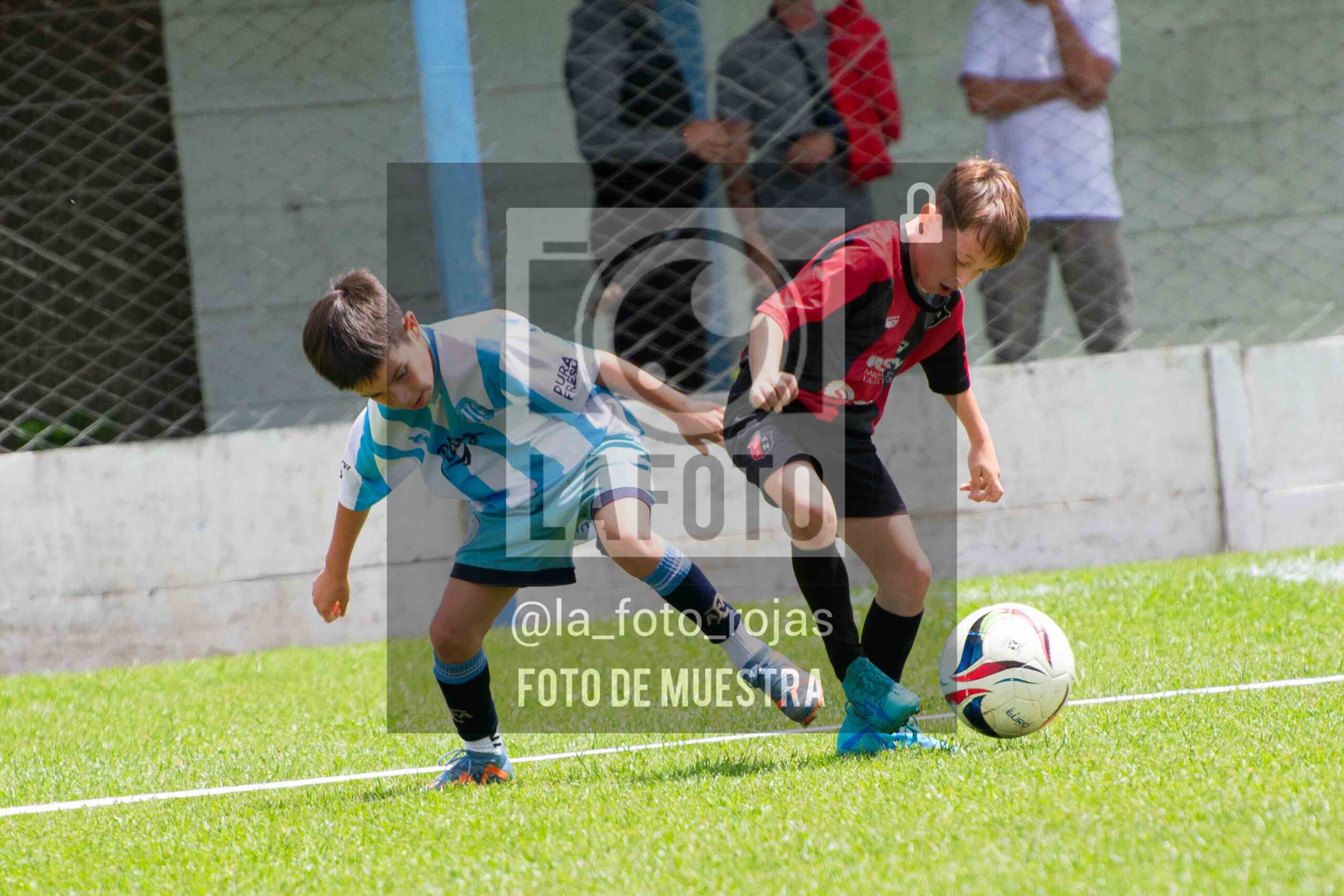 Fotografía 2015-ARG-NEW-140-scaled de ARGENTINO - NEWBERY / 2015 / 8-11