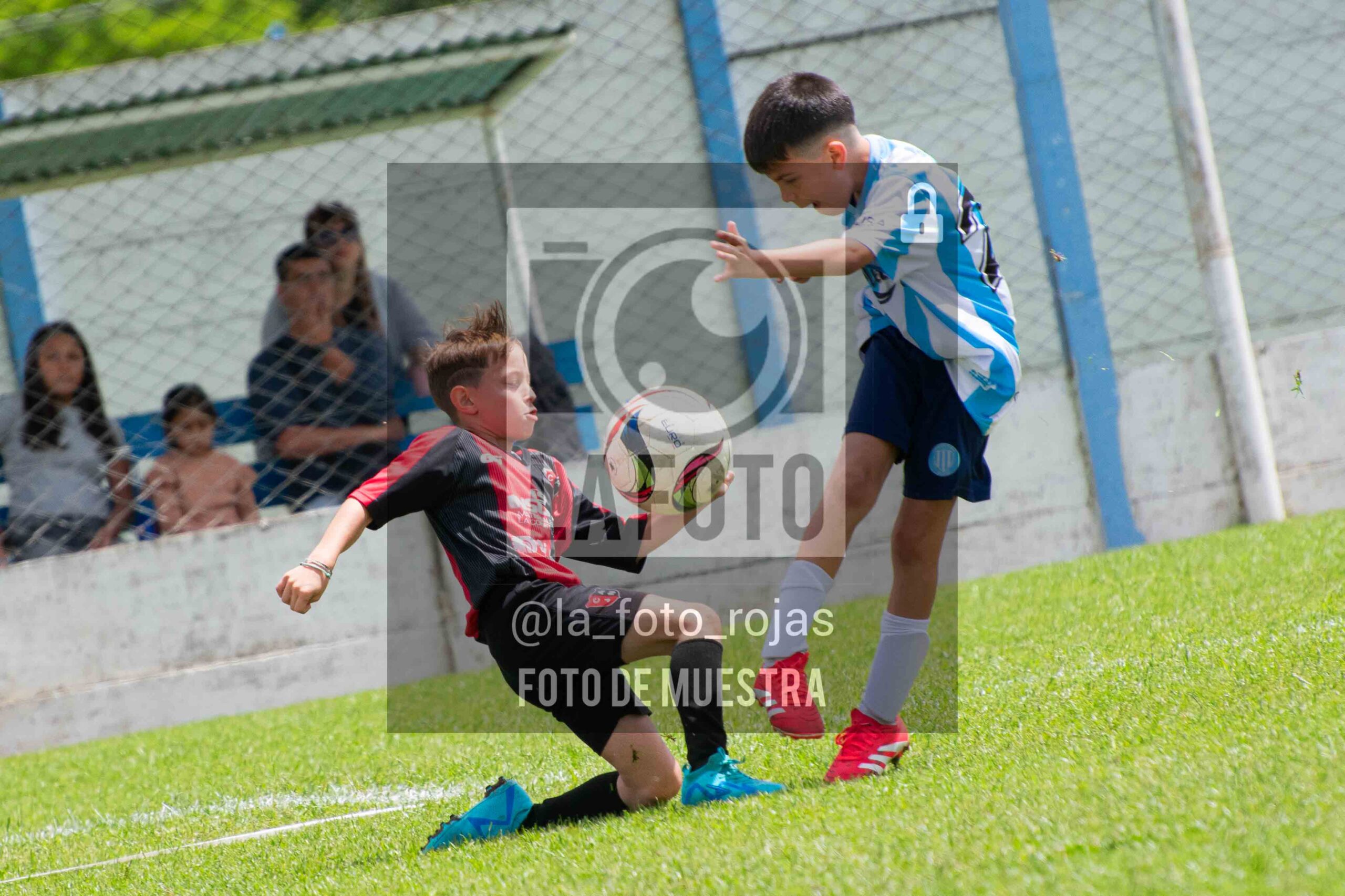 Fotografía 2015-ARG-NEW-141-scaled de ARGENTINO - NEWBERY / 2015 / 8-11