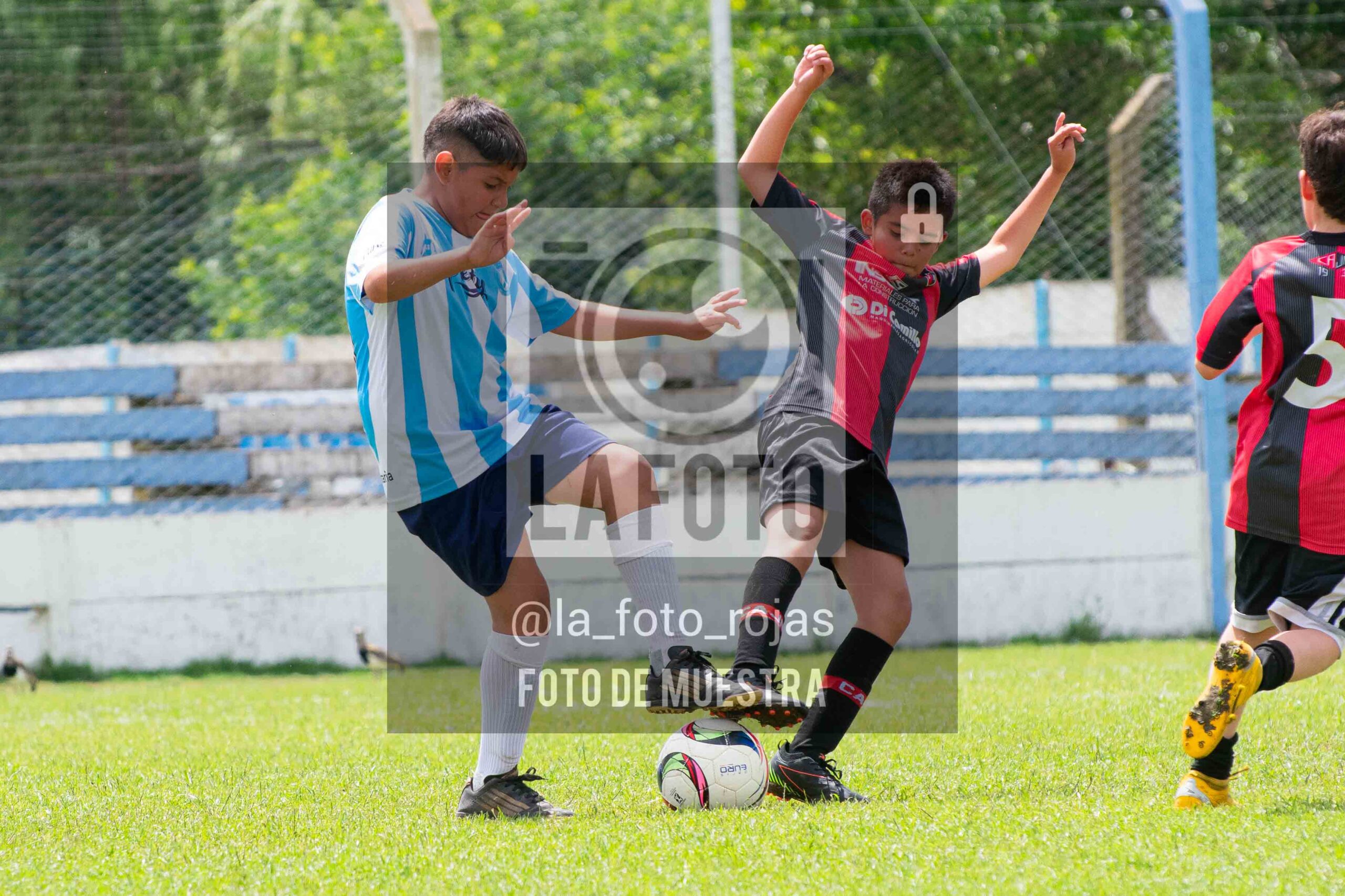 Fotografía 2015-ARG-NEW-144-scaled de ARGENTINO - NEWBERY / 2015 / 8-11