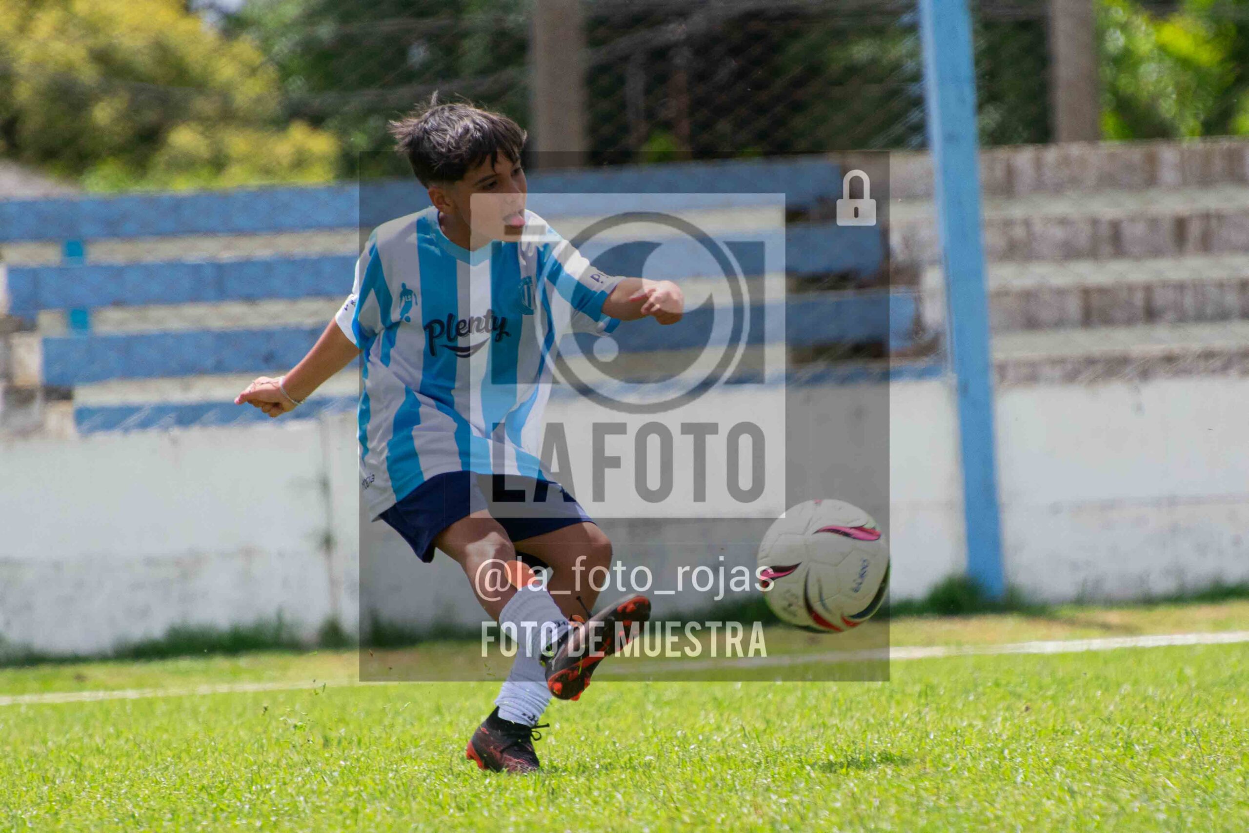Fotografía 2015-ARG-NEW-145-scaled de ARGENTINO - NEWBERY / 2015 / 8-11