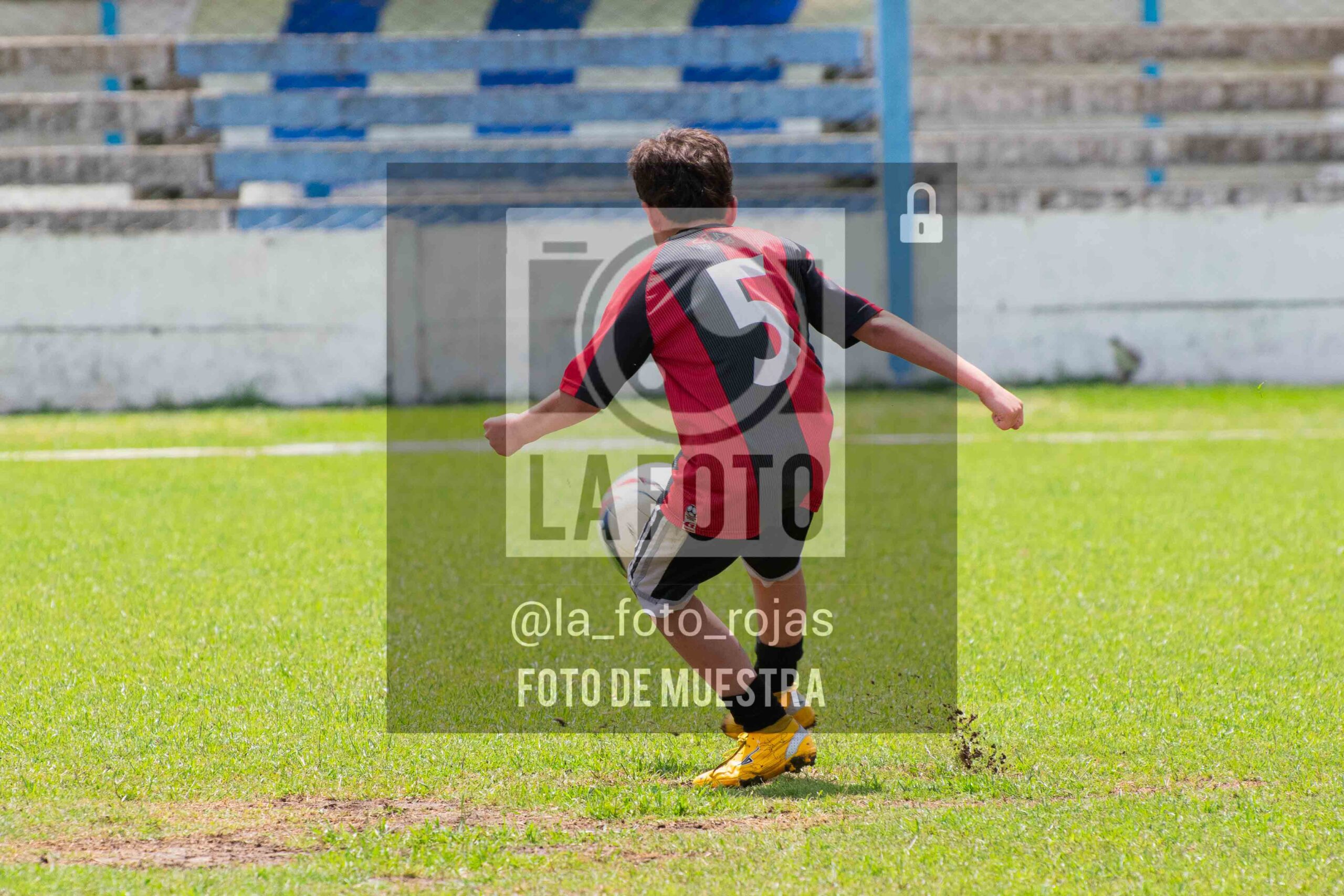 Fotografía 2015-ARG-NEW-146-scaled de ARGENTINO - NEWBERY / 2015 / 8-11