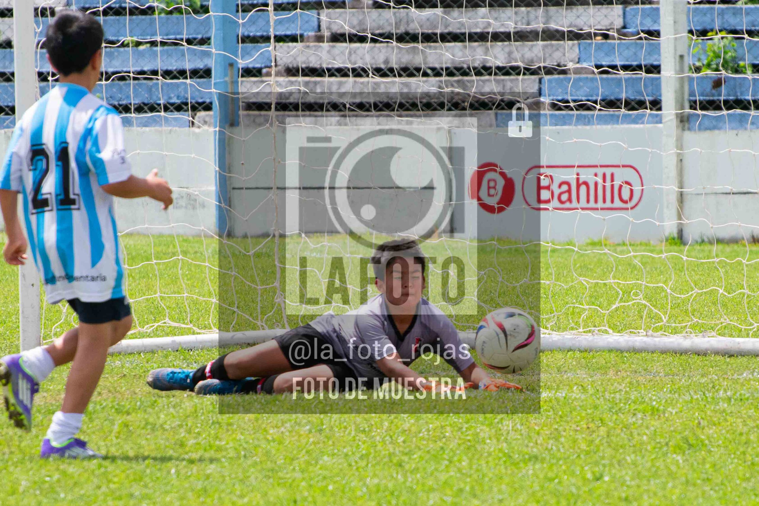 Fotografía 2015-ARG-NEW-147-scaled de ARGENTINO - NEWBERY / 2015 / 8-11
