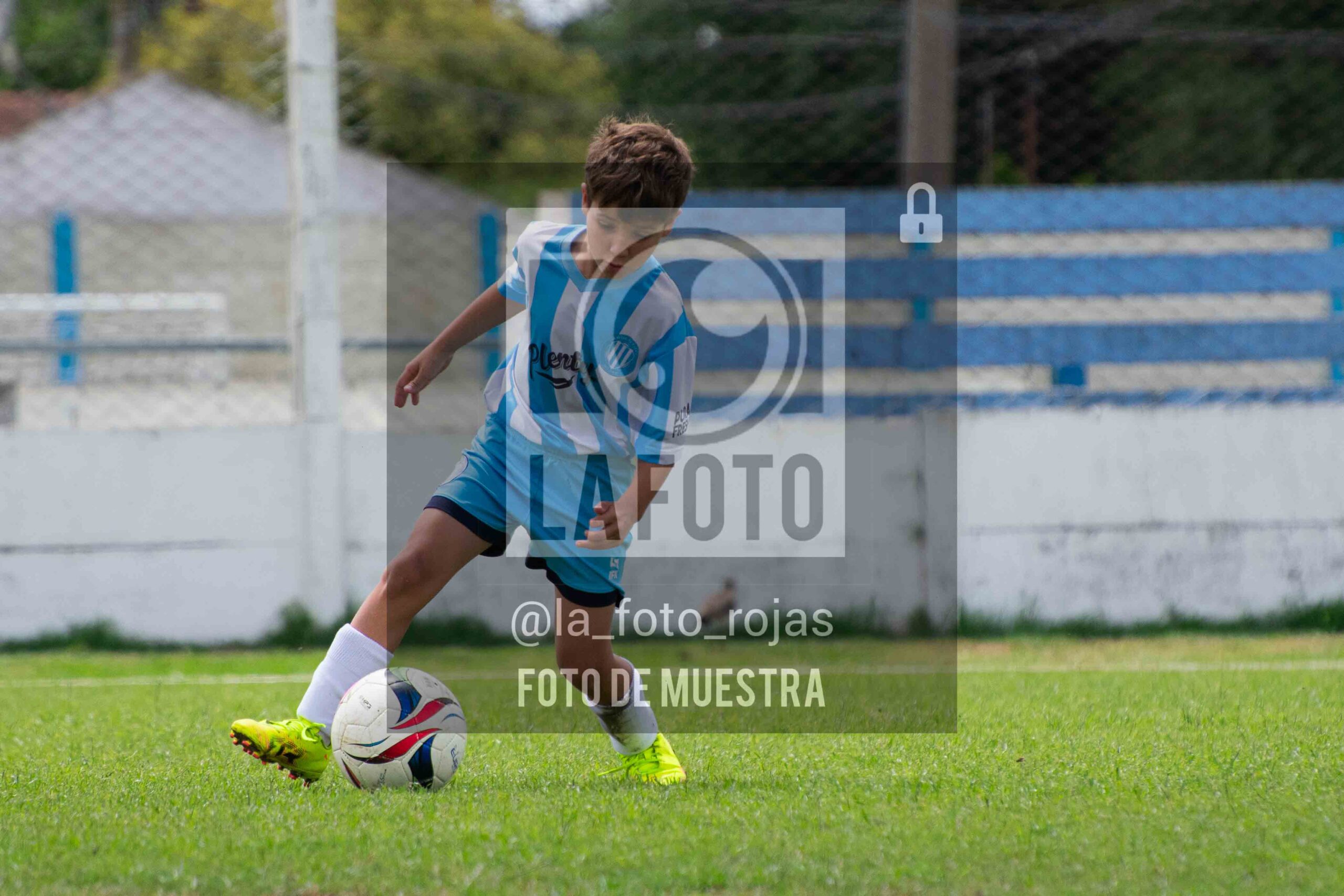 Fotografía 2015-ARG-NEW-150-scaled de ARGENTINO - NEWBERY / 2015 / 8-11