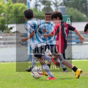 Fotografía 2015-ARG-NEW-151-scaled de ARGENTINO - NEWBERY / 2015 / 8-11