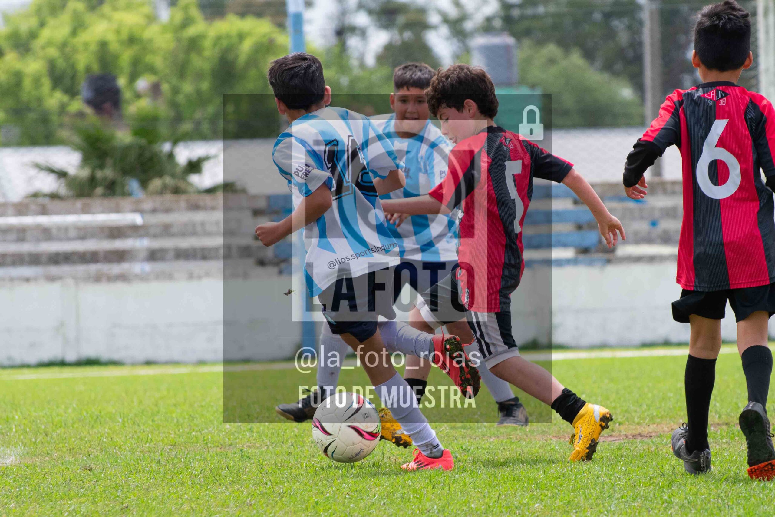 Fotografía 2015-ARG-NEW-151-scaled de ARGENTINO - NEWBERY / 2015 / 8-11