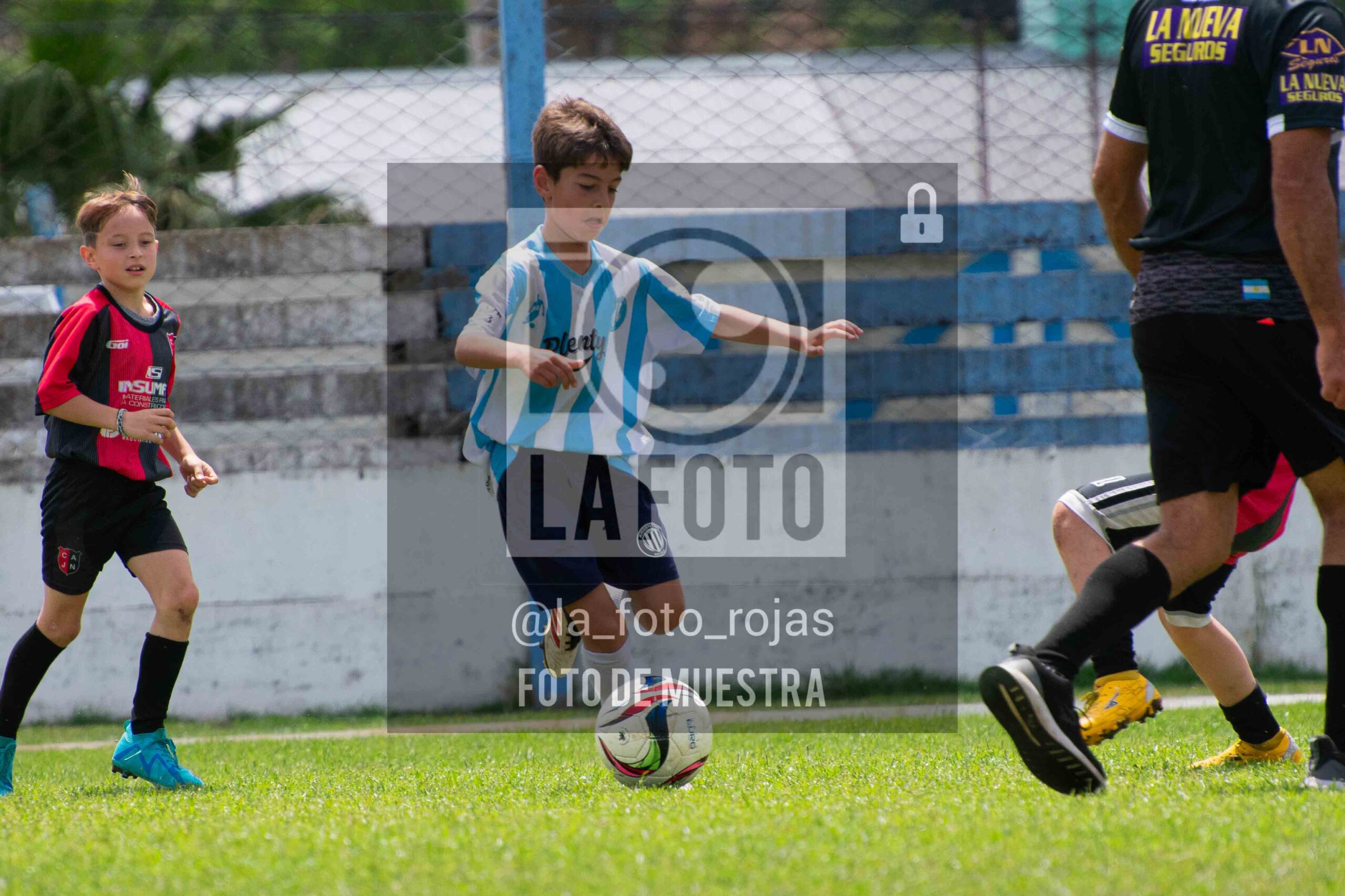 Fotografía 2015-ARG-NEW-152-scaled de ARGENTINO - NEWBERY / 2015 / 8-11
