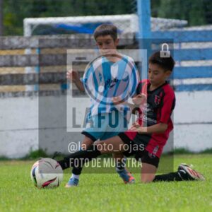 Fotografía 2015-ARG-NEW-153-scaled de ARGENTINO - NEWBERY / 2015 / 8-11