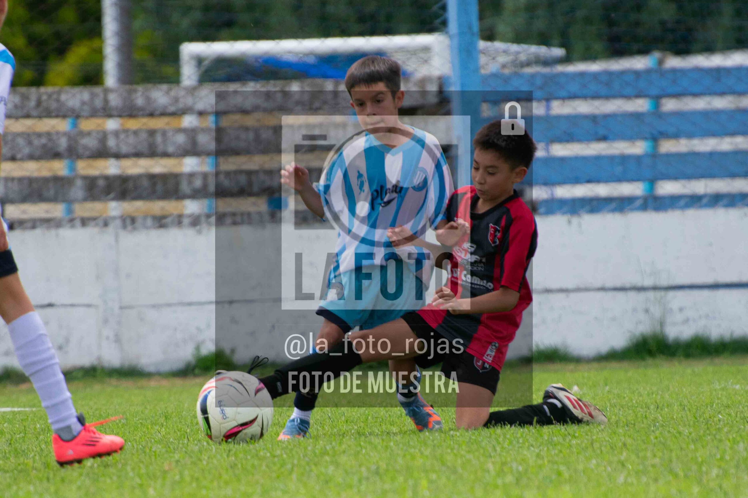 Fotografía 2015-ARG-NEW-153-scaled de ARGENTINO - NEWBERY / 2015 / 8-11
