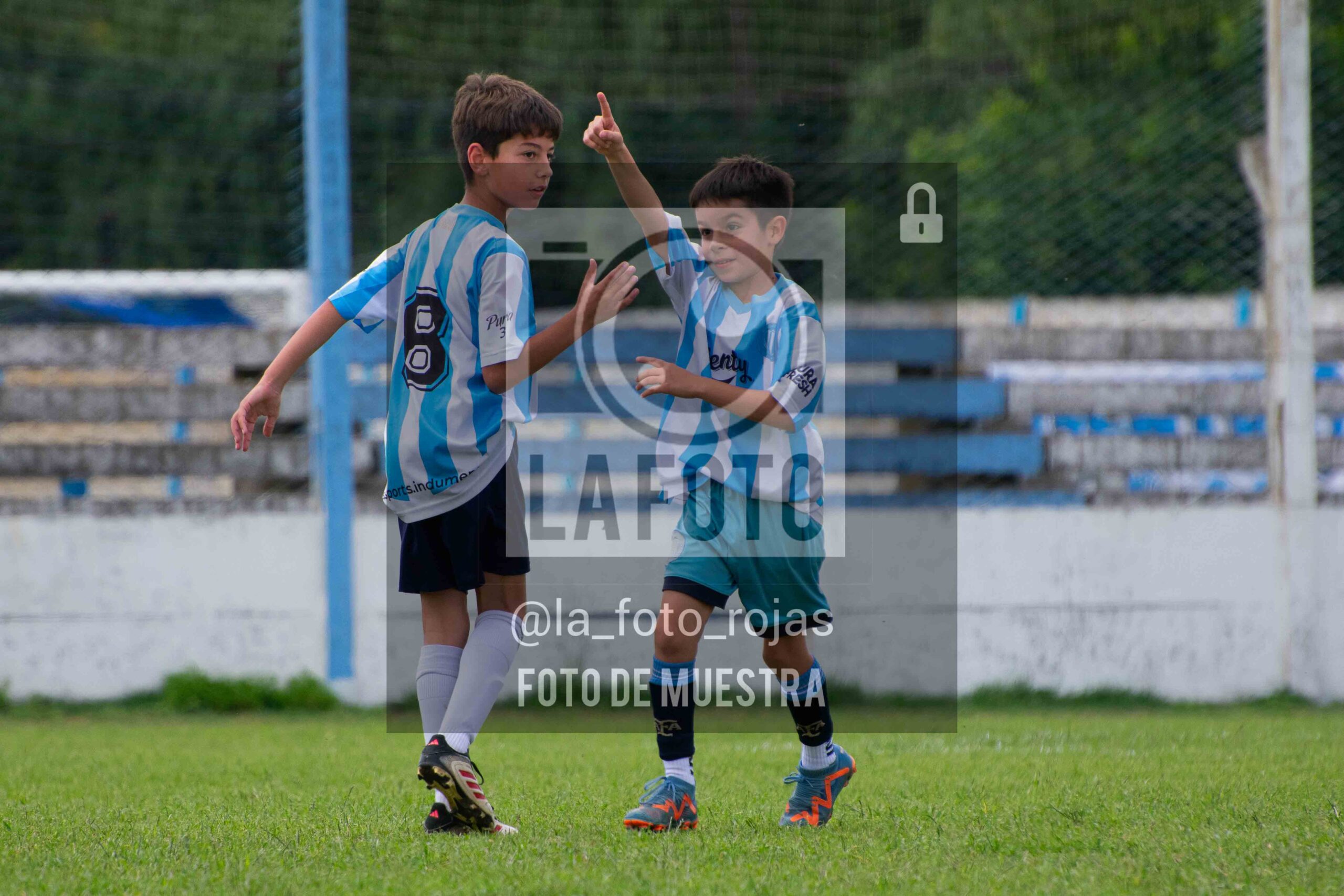 Fotografía 2015-ARG-NEW-164-scaled de ARGENTINO - NEWBERY / 2015 / 8-11