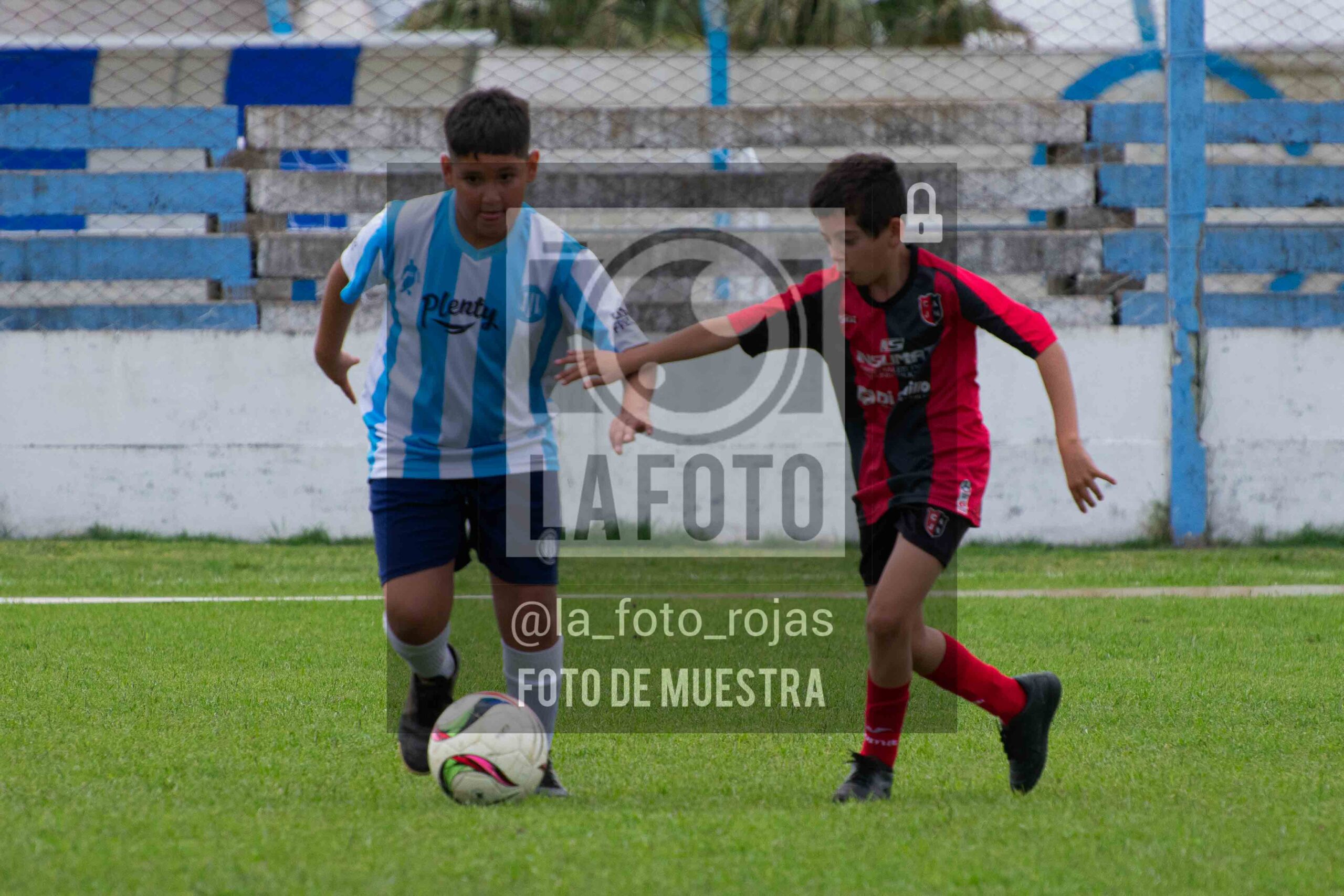 Fotografía 2015-ARG-NEW-165-scaled de ARGENTINO - NEWBERY / 2015 / 8-11
