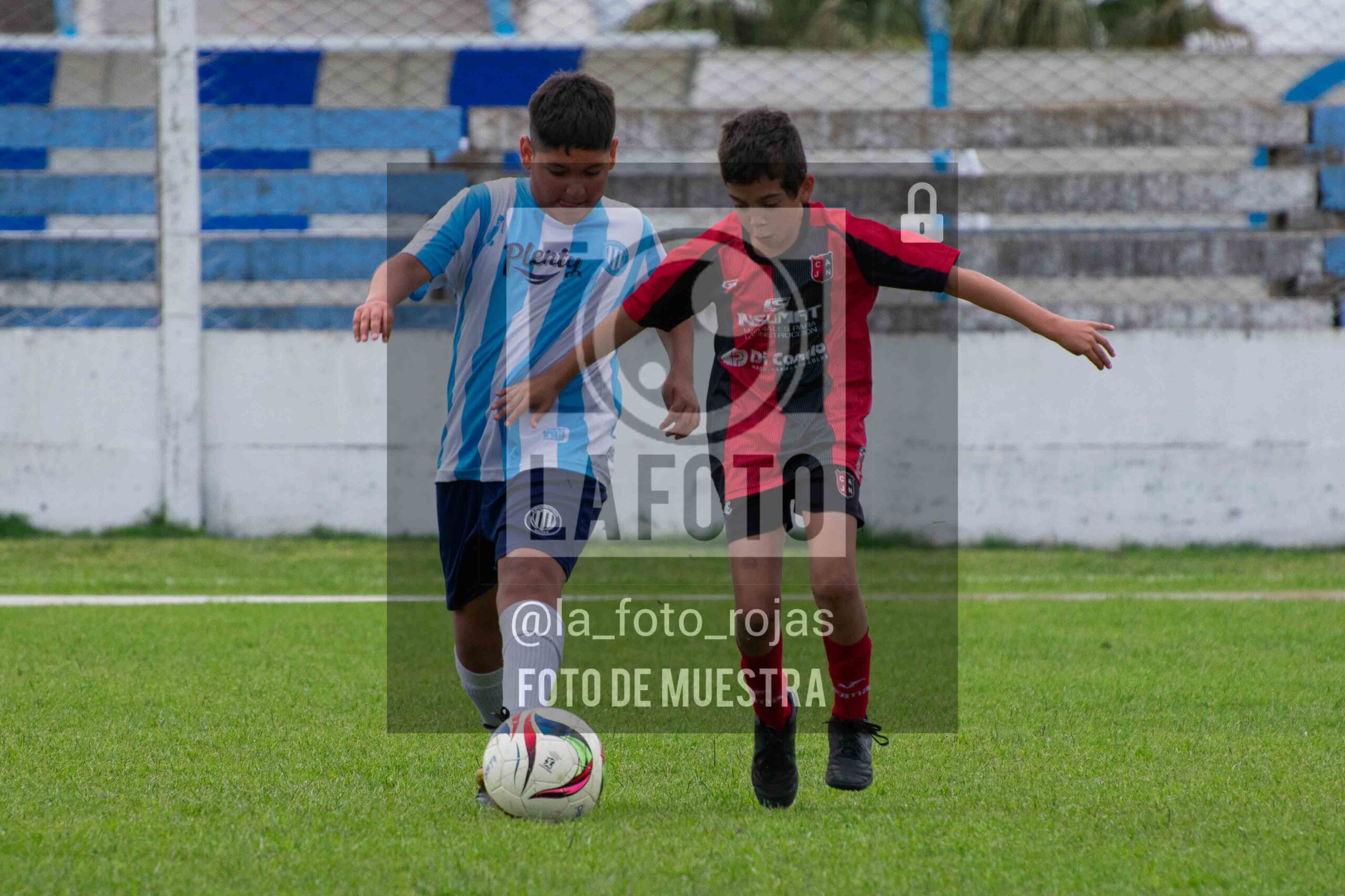 Fotografía 2015-ARG-NEW-166-scaled de ARGENTINO - NEWBERY / 2015 / 8-11