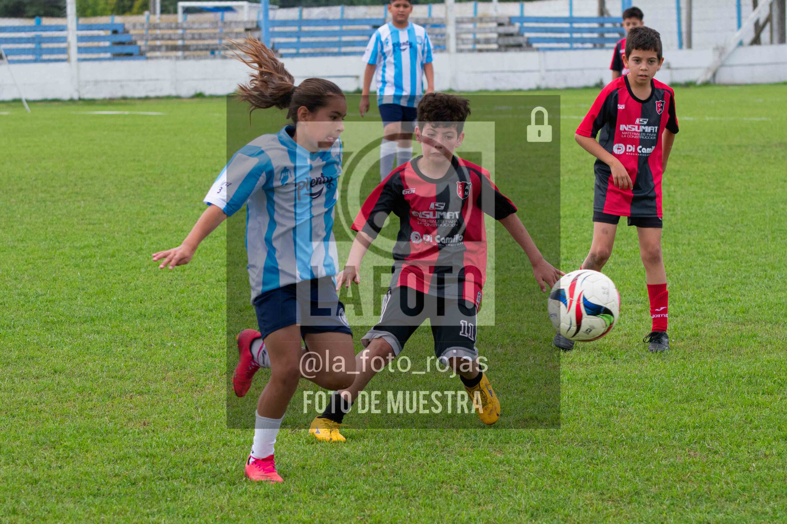 Fotografía 2015-ARG-NEW-169-scaled de ARGENTINO - NEWBERY / 2015 / 8-11