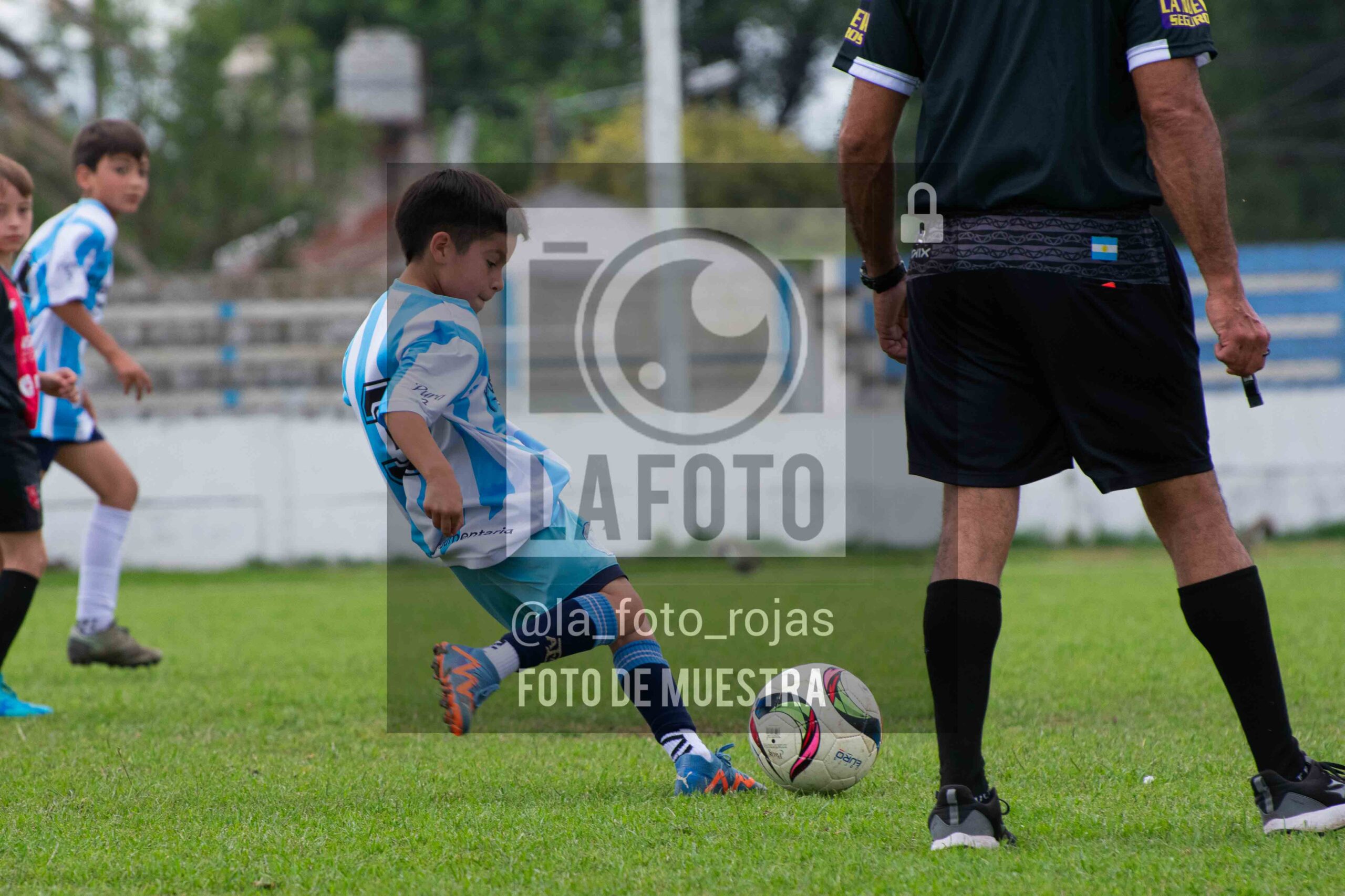 Fotografía 2015-ARG-NEW-170-scaled de ARGENTINO - NEWBERY / 2015 / 8-11