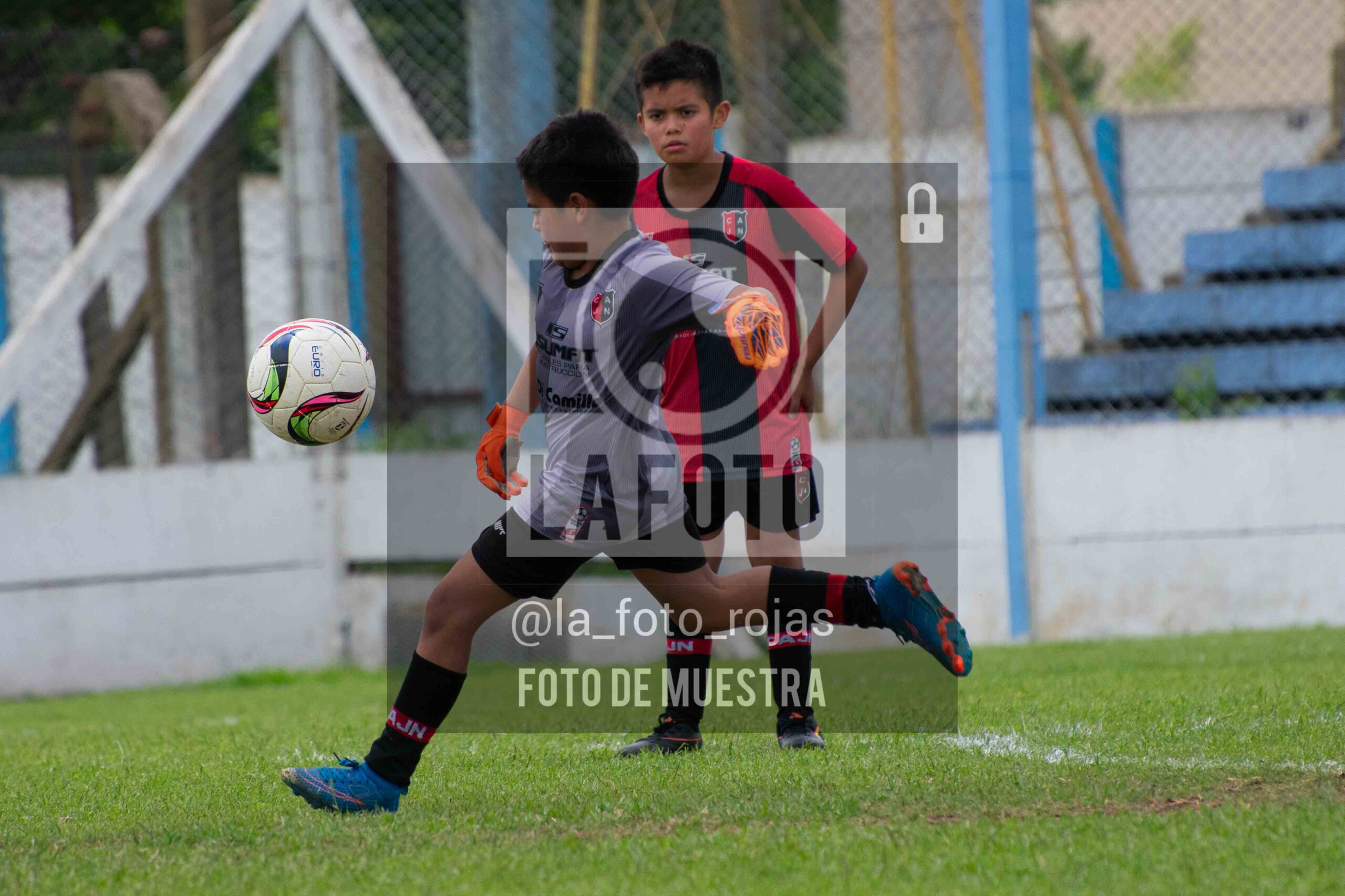 Fotografía 2015-ARG-NEW-171-scaled de ARGENTINO - NEWBERY / 2015 / 8-11