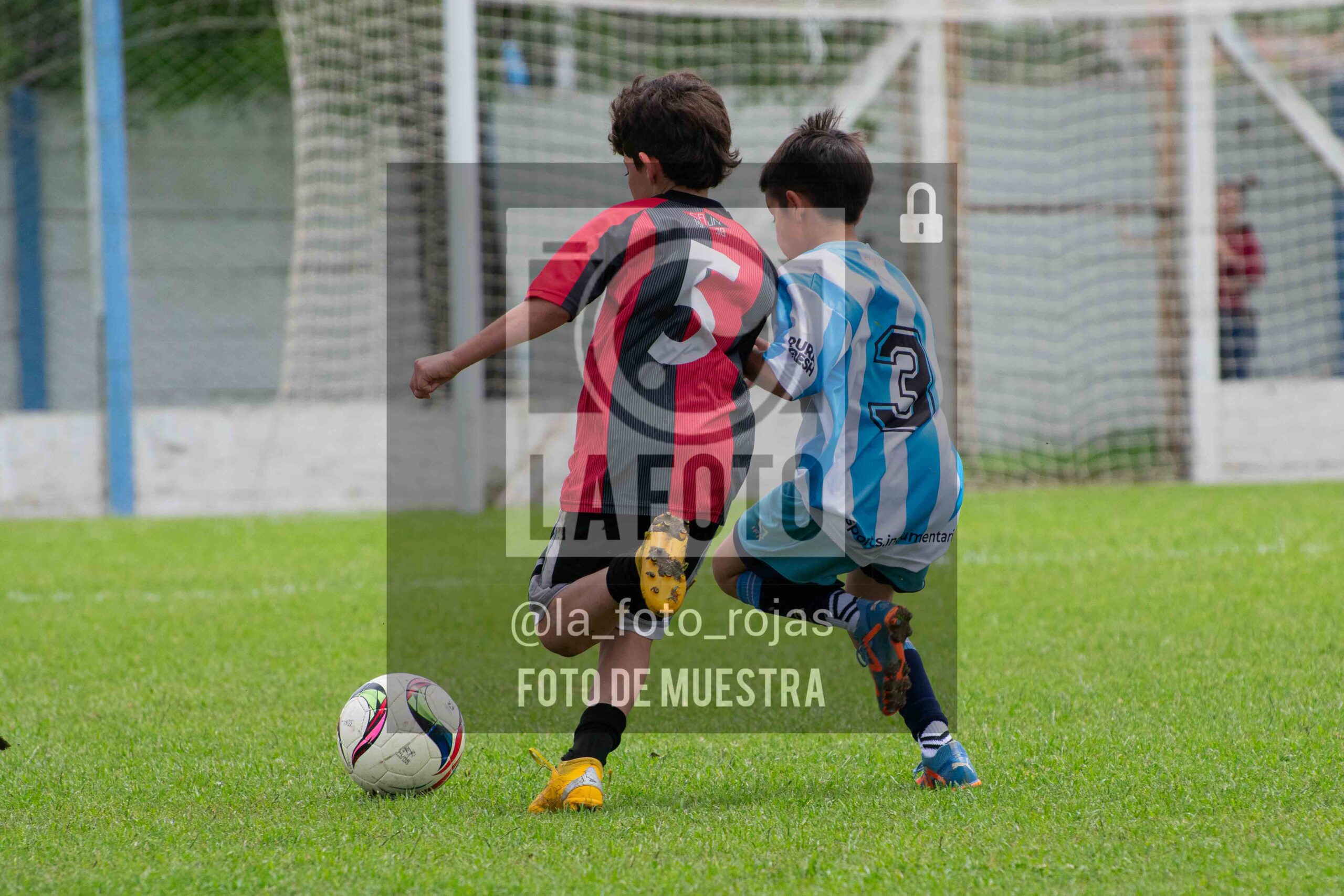 Fotografía 2015-ARG-NEW-175-scaled de ARGENTINO - NEWBERY / 2015 / 8-11