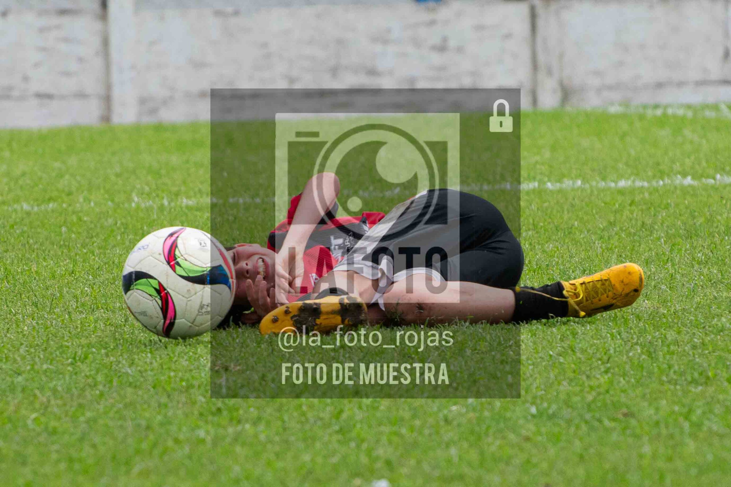 Fotografía 2015-ARG-NEW-176-scaled de ARGENTINO - NEWBERY / 2015 / 8-11