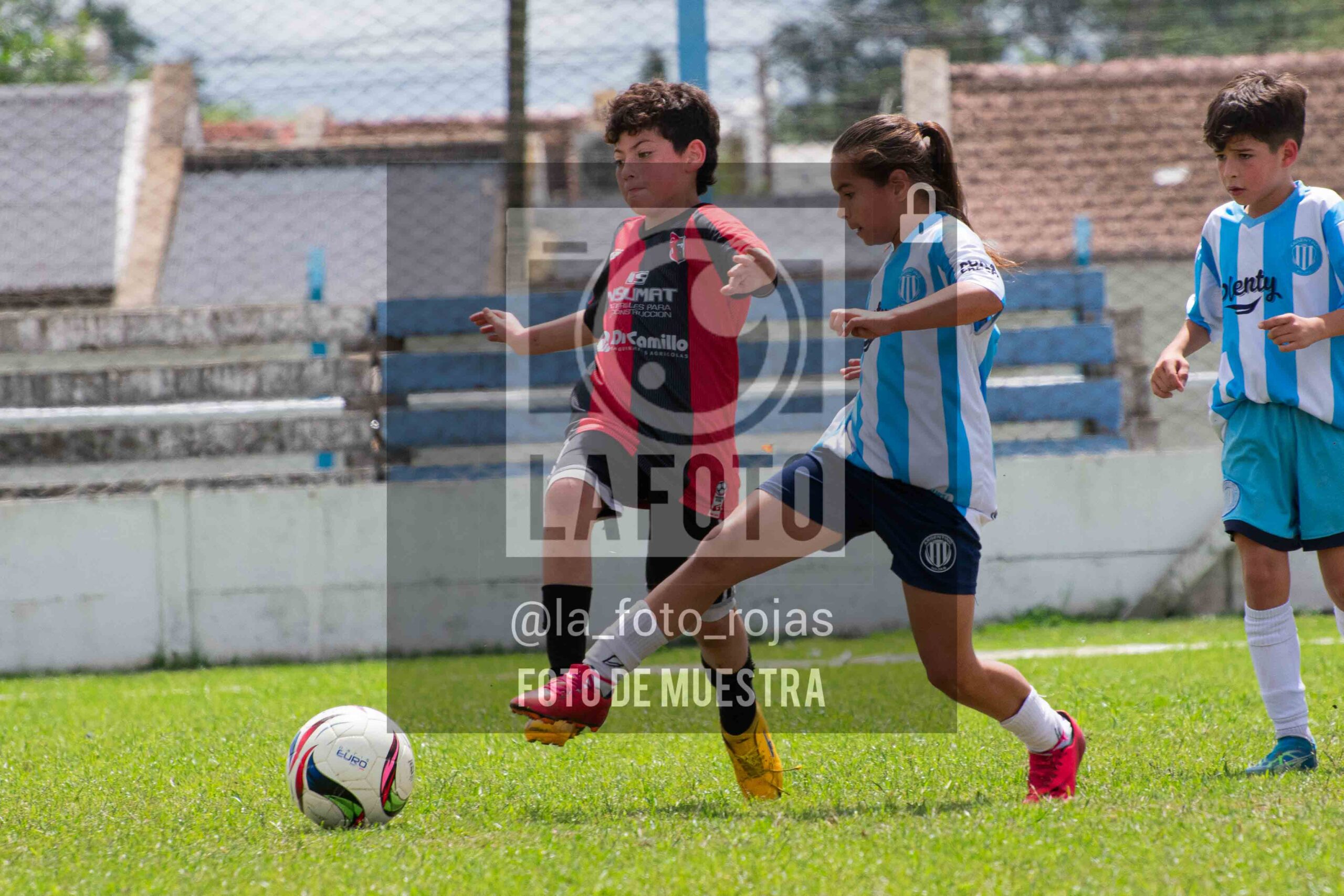Fotografía 2015-ARG-NEW-20-1-scaled de ARGENTINO - NEWBERY / 2015 / 8-11