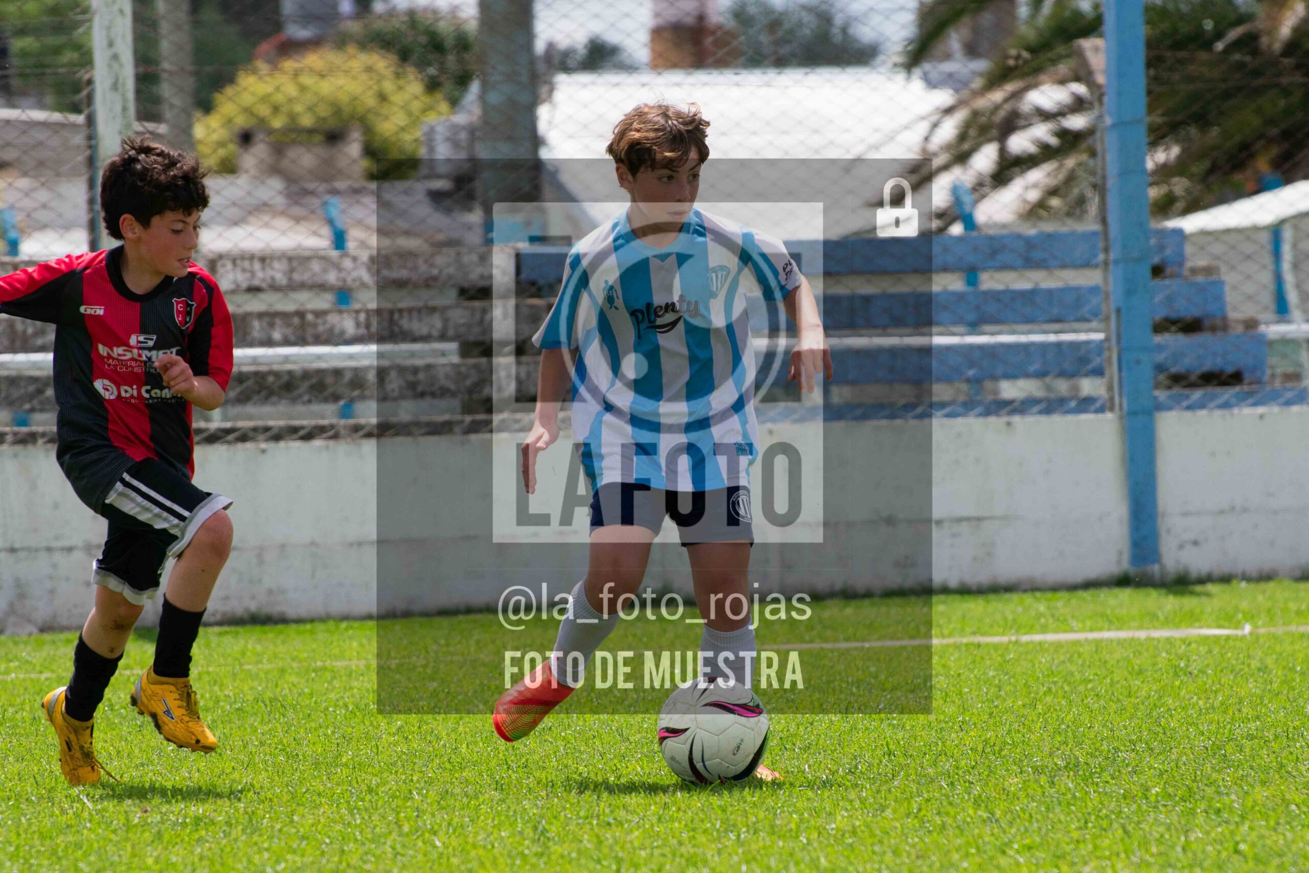 Fotografía 2015-ARG-NEW-24-scaled de ARGENTINO - NEWBERY / 2015 / 8-11