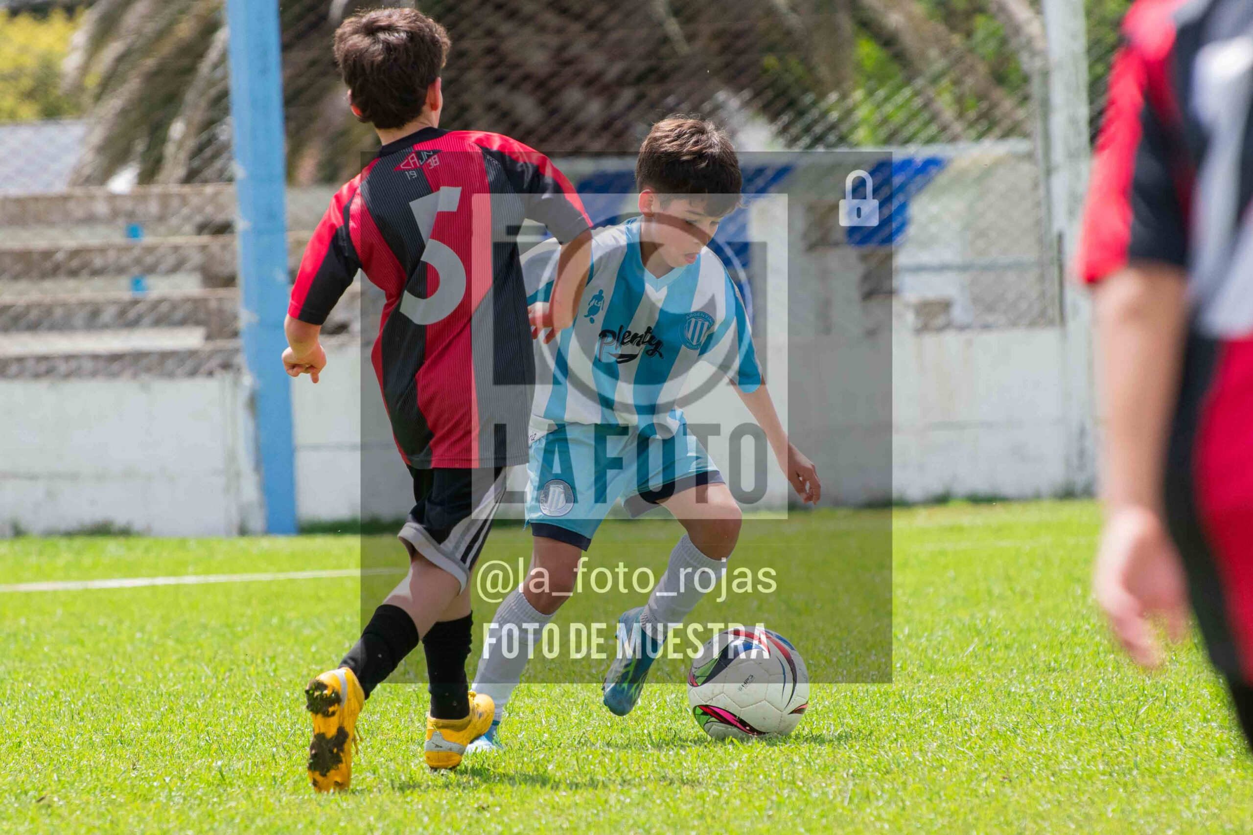Fotografía 2015-ARG-NEW-25-scaled de ARGENTINO - NEWBERY / 2015 / 8-11