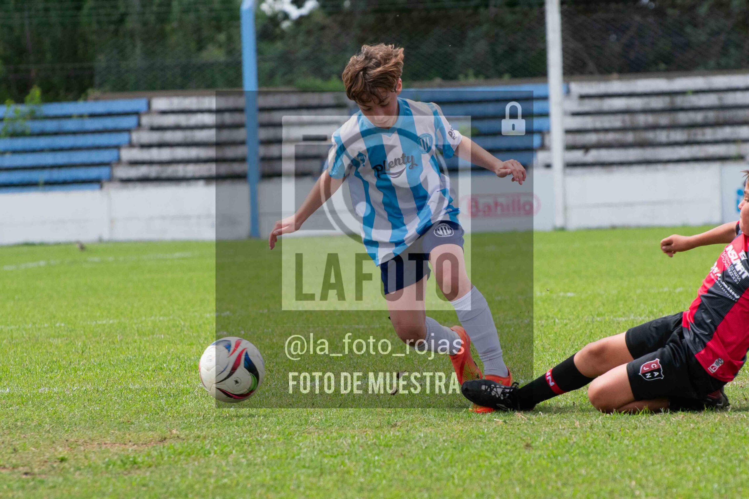 Fotografía 2015-ARG-NEW-55-scaled de ARGENTINO - NEWBERY / 2015 / 8-11