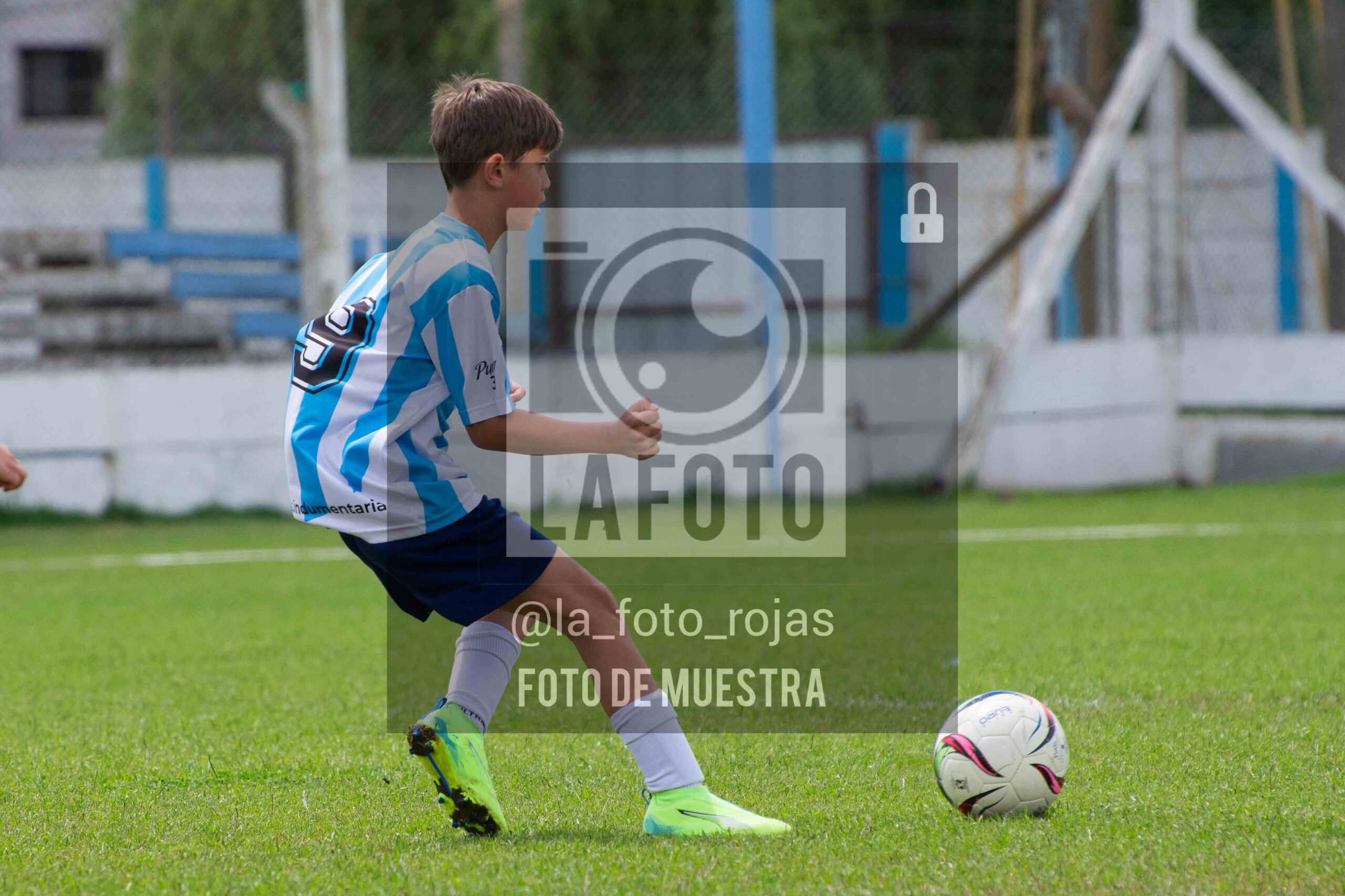 Fotografía 2015-ARG-NEW-56-scaled de ARGENTINO - NEWBERY / 2015 / 8-11